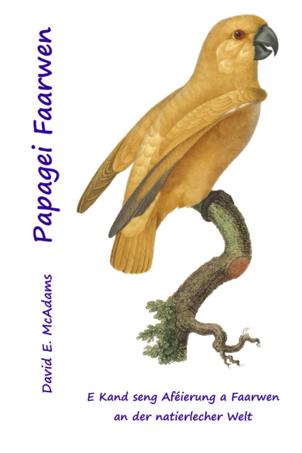 Papagei Faarwen: E Kand seng Aféierung a Faarwen an der natierlecher Welt Non-fiction