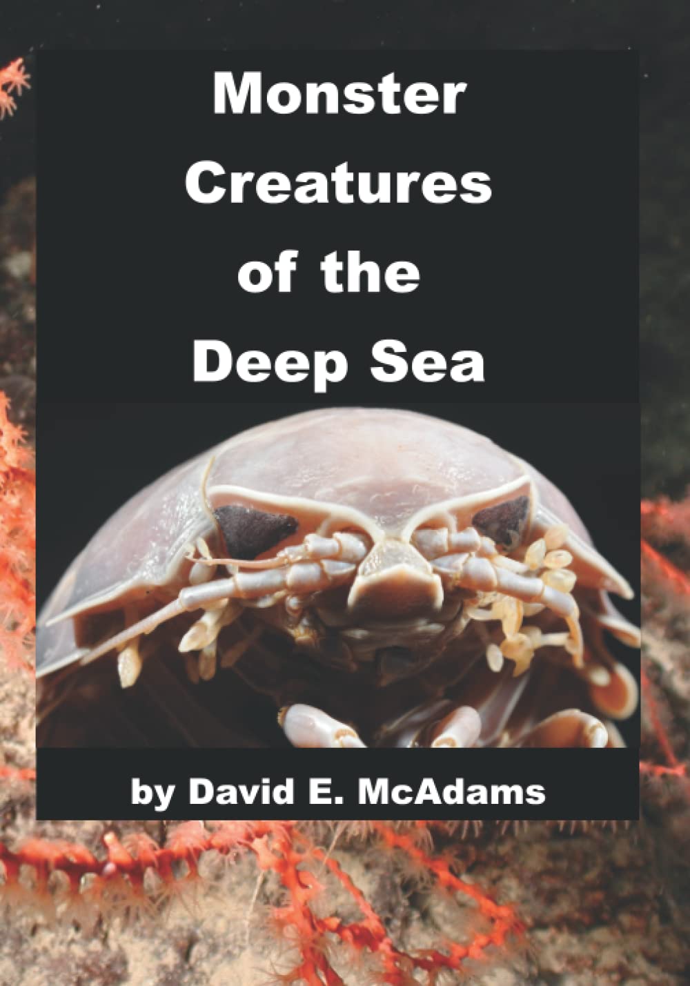 Monster Creatures of the Deep Sea: An adventure exploring the weird world and wacky creatures of the deep sea. Non-fiction