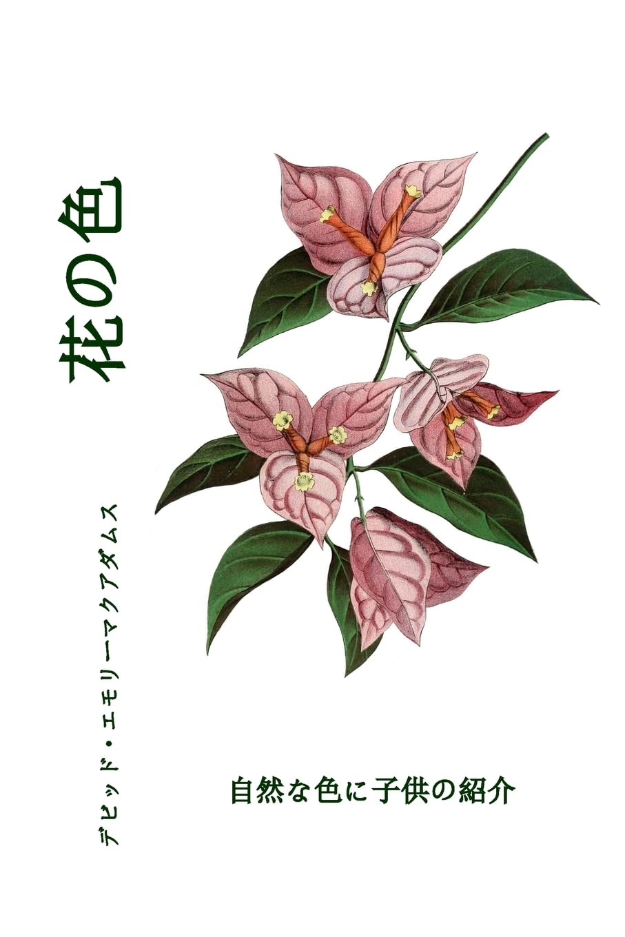 花の色: 自然な色に子供の紹介 (自然の中の色彩) Non-fiction