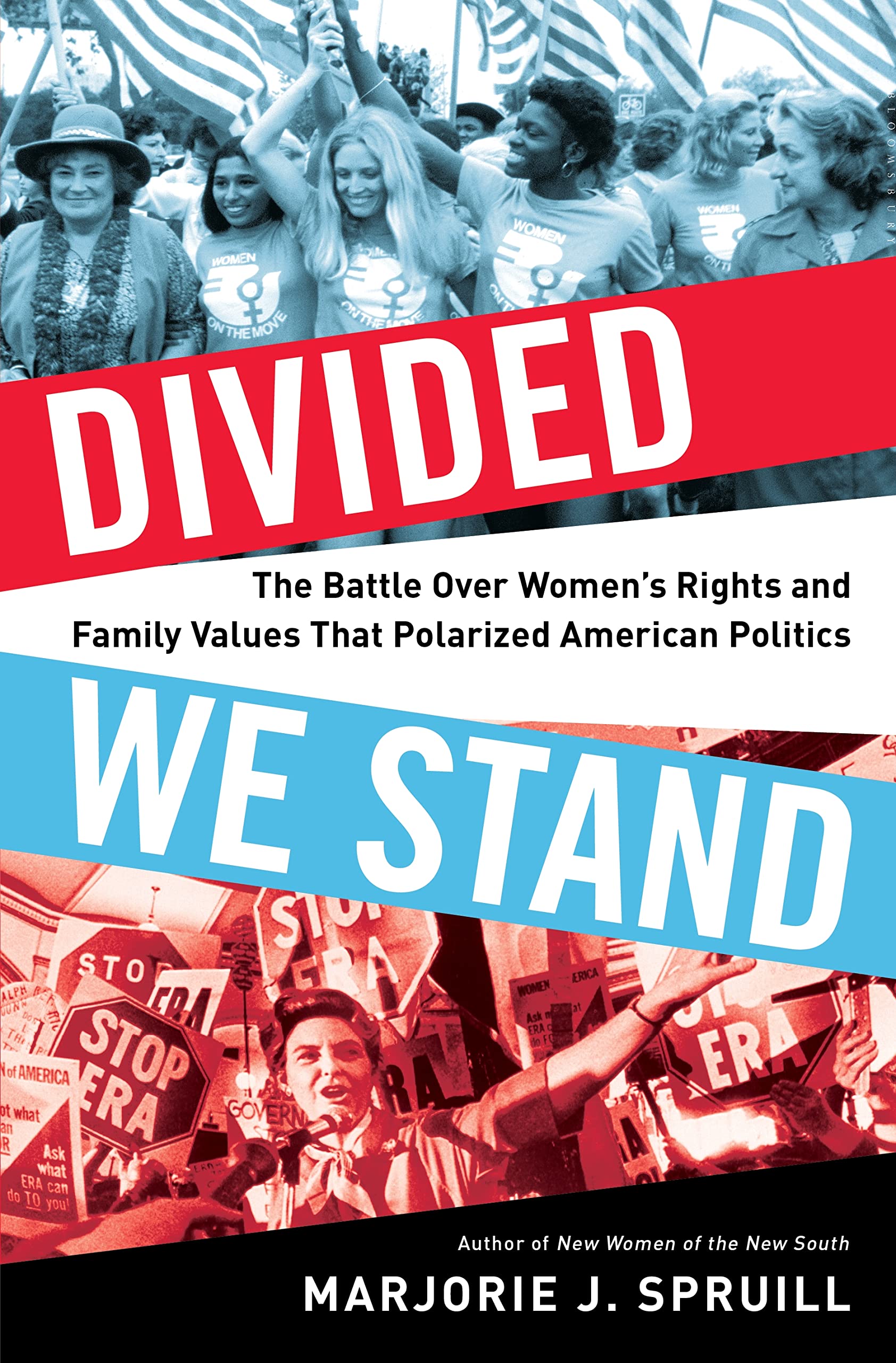Divided We Stand: The Battle Over Women's Rights and Family Values That Polarized American Politics Social Sciences
