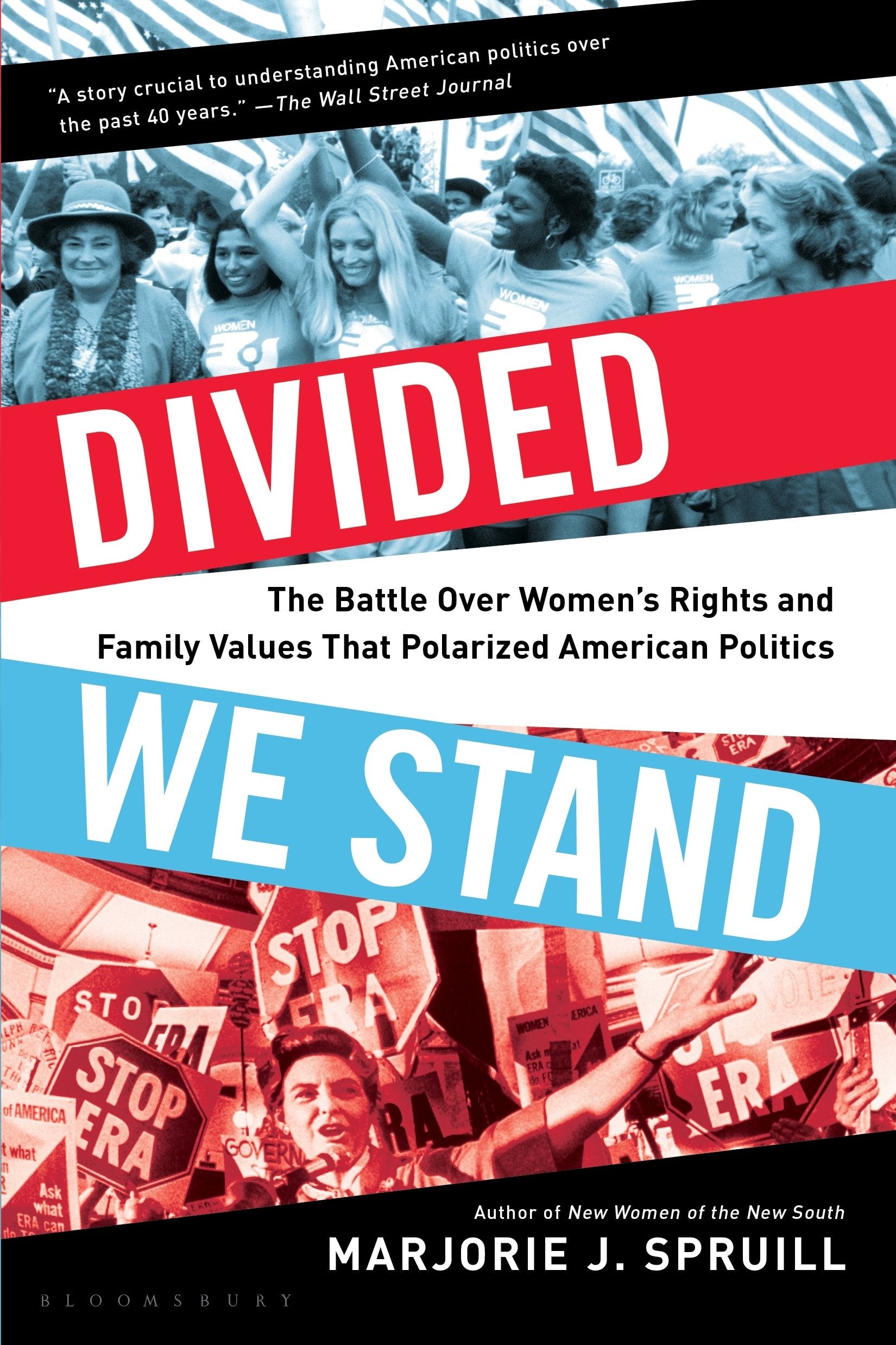 Divided We Stand Law Books