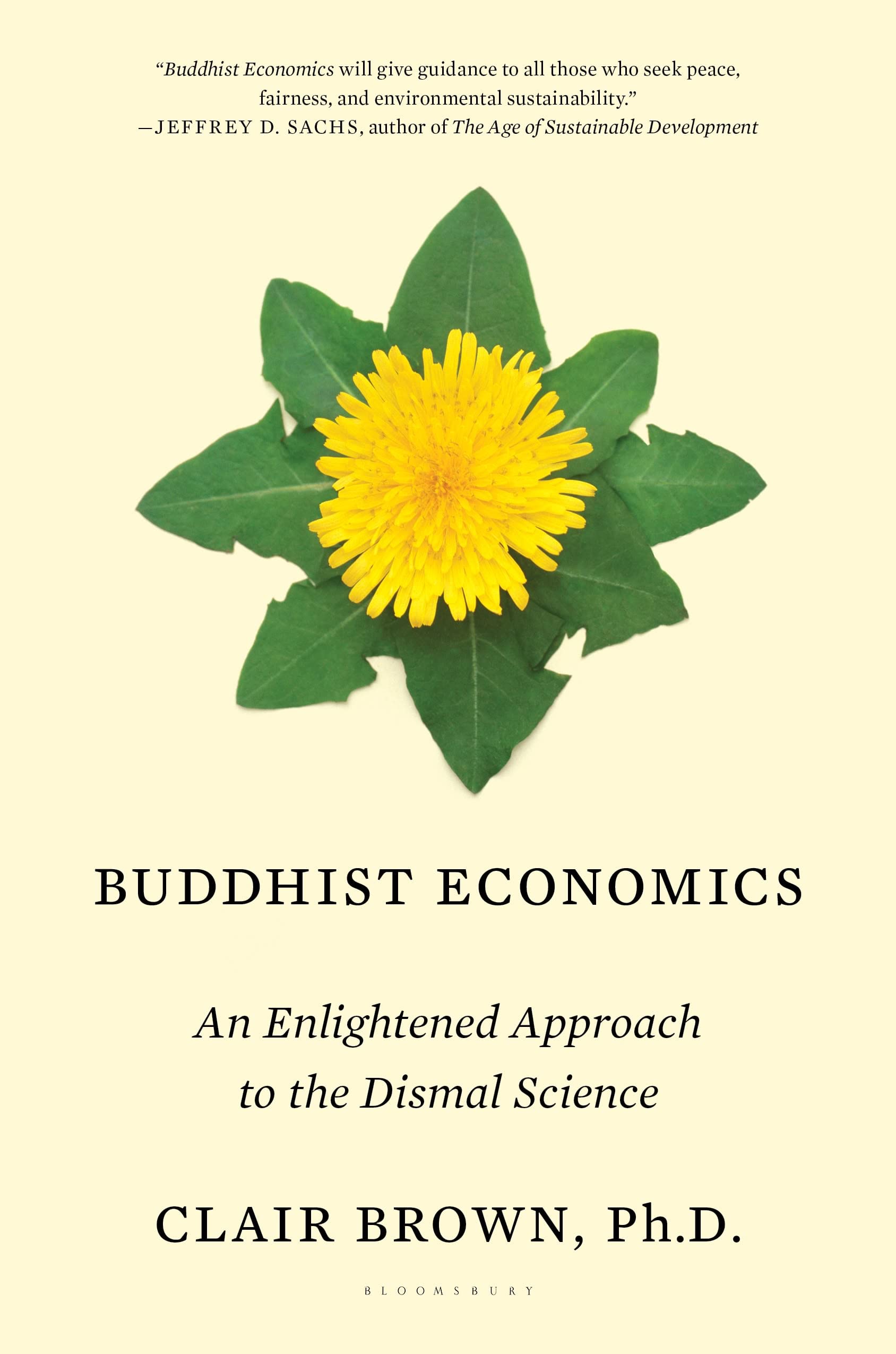 Buddhist Economics: An Enlightened Approach to the Dismal Science Law