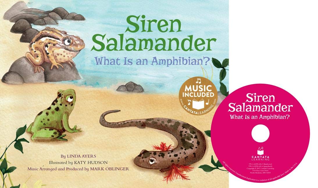 Siren Salamander: What Is an Amphibian? book