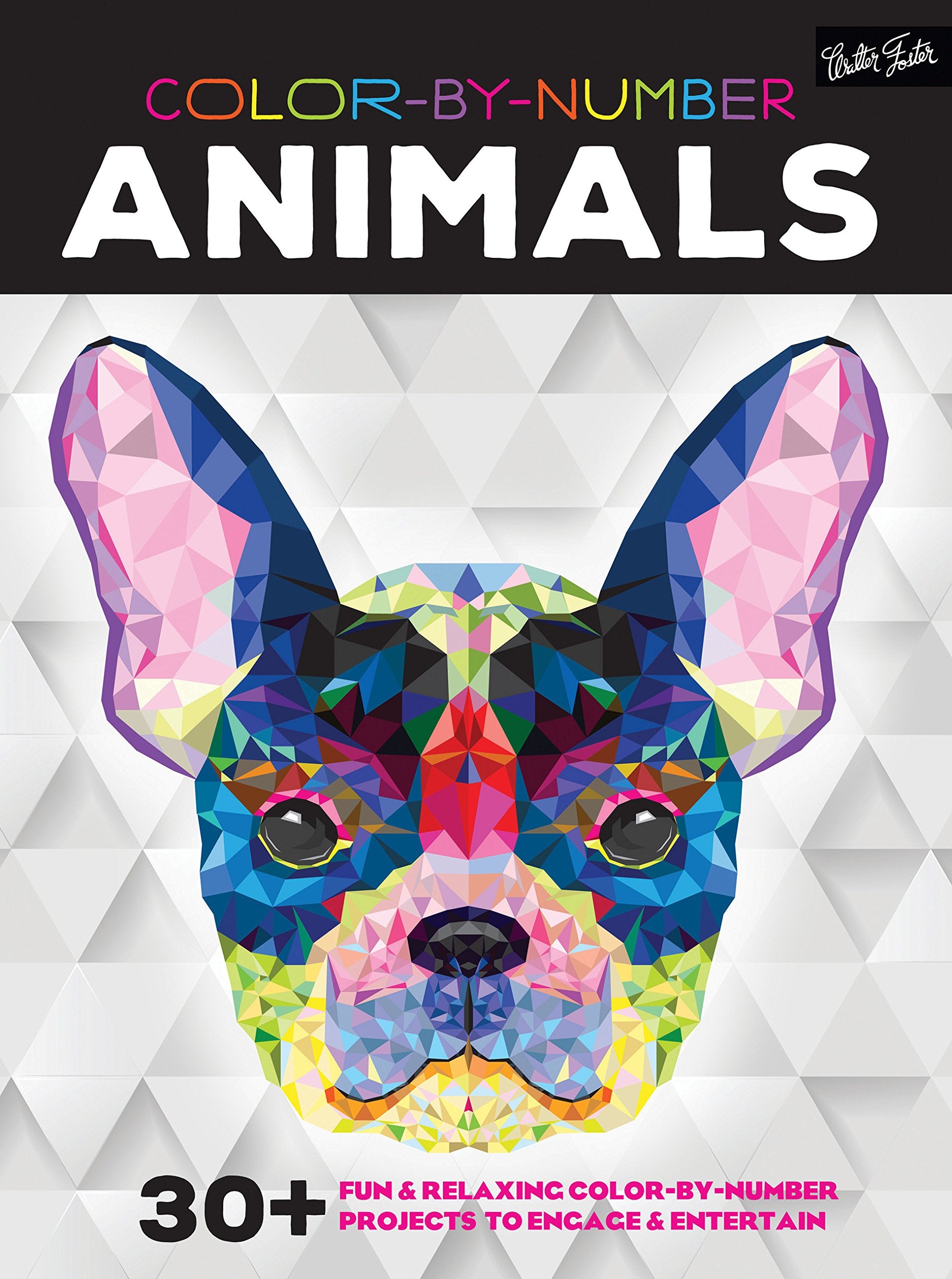 Color-by-Number: Animals: 30+ fun & relaxing color-by-number projects to engage & entertain Arts & Music