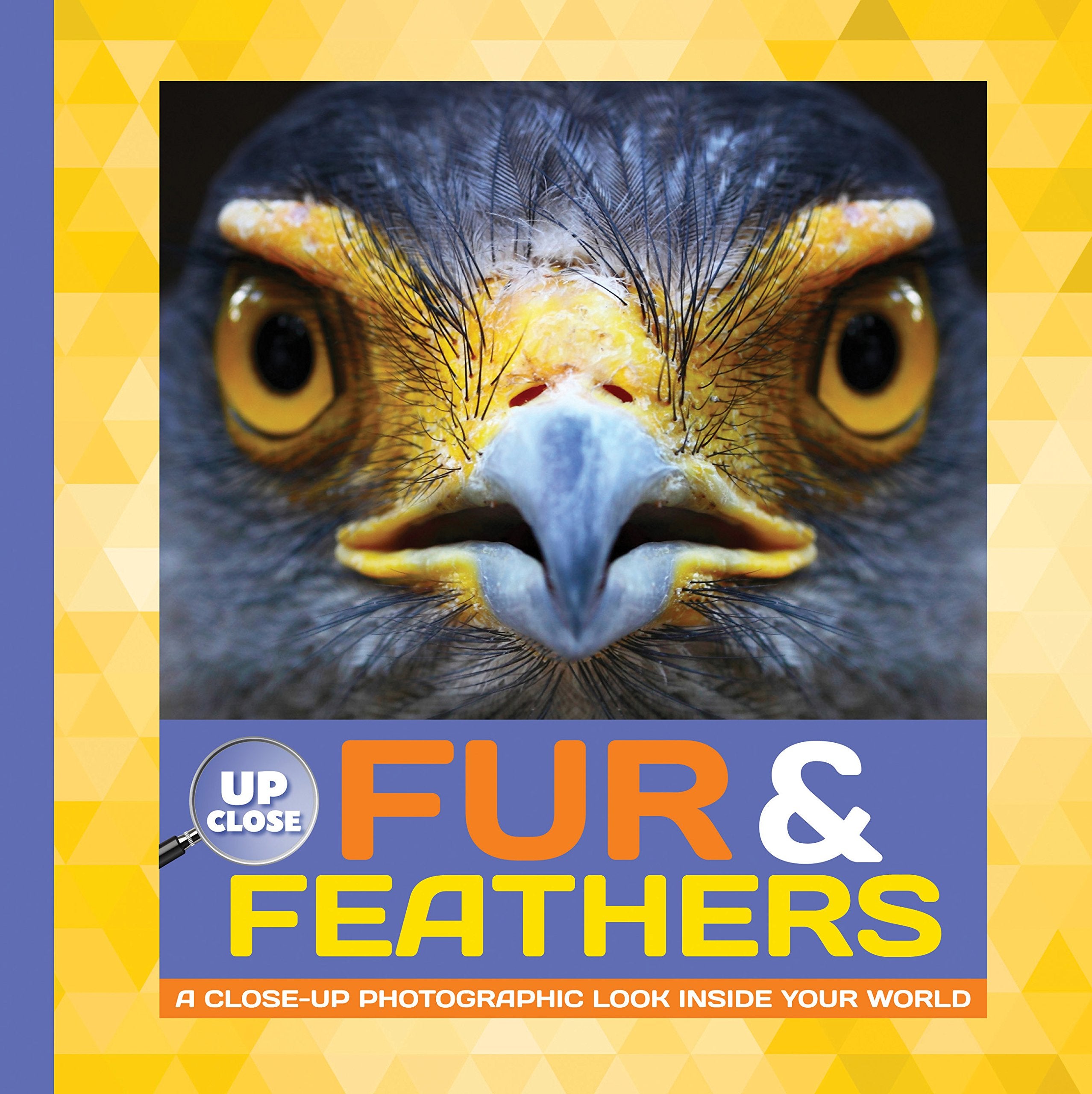 Fur & Feathers: A close-up photographic look inside your world (Up Close) Tiptoi & Games