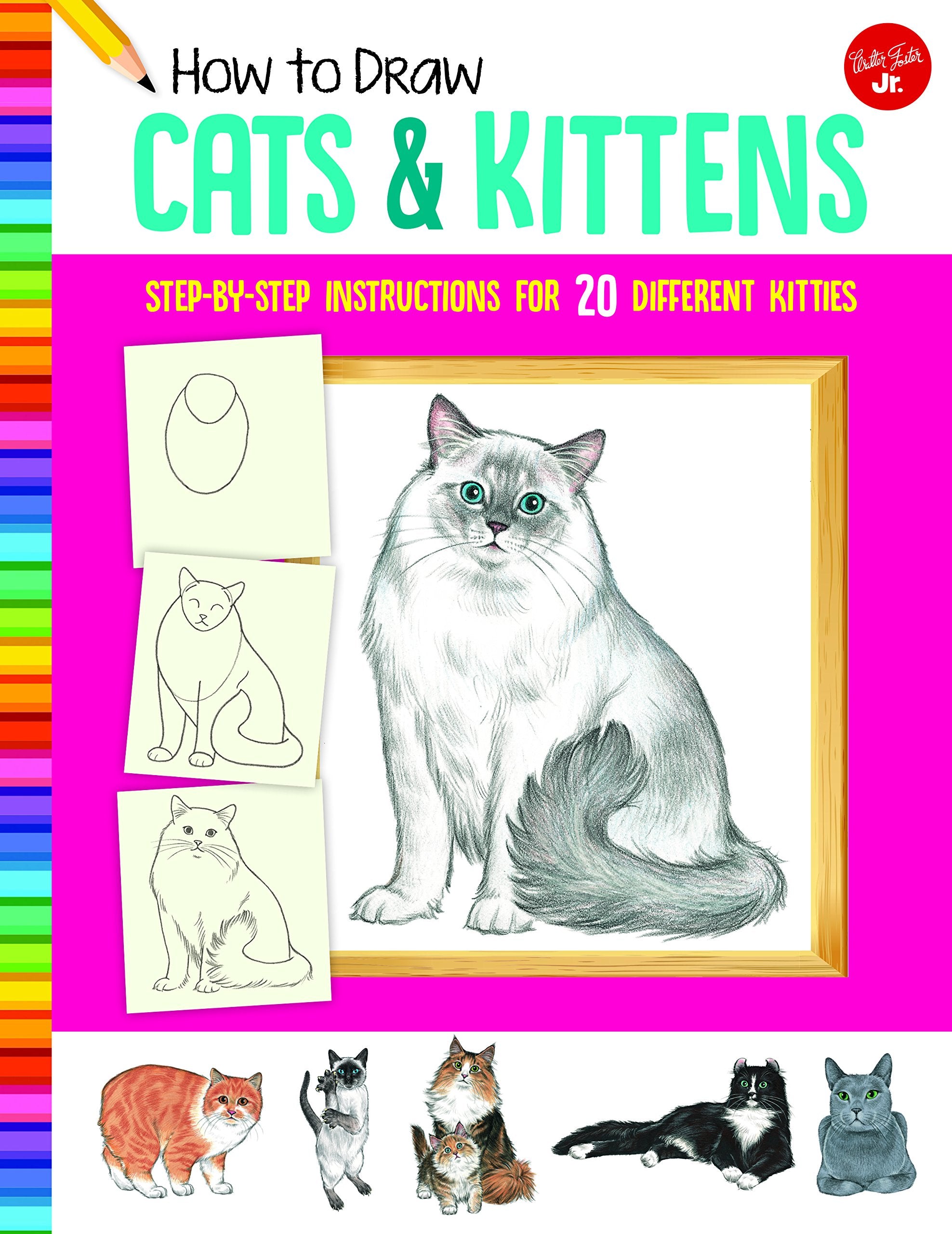 How to Draw Cats & Kittens: Step-By-Step Instructions for 20 Different Kitties (Learn to Draw) Non-fiction