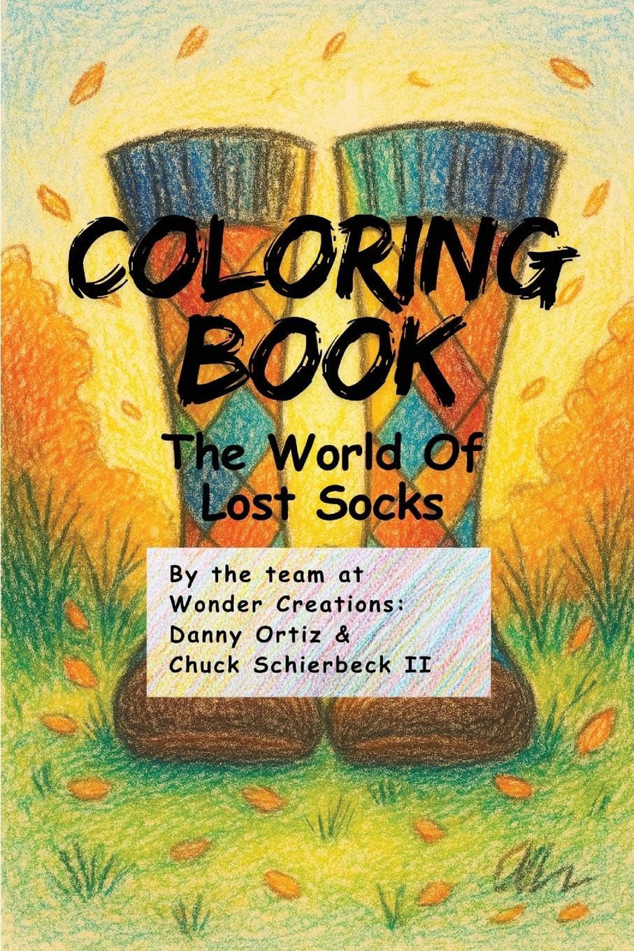The World of Lost Socks Non-fiction