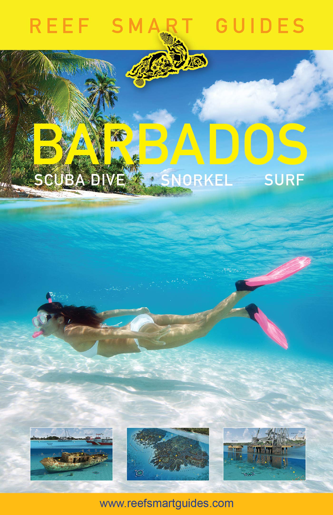 Reef Smart Guides Barbados: Scuba Dive. Snorkel. Surf. (Best Diving Spots in the Caribbean's Barbados) Leisure, Home & Garden