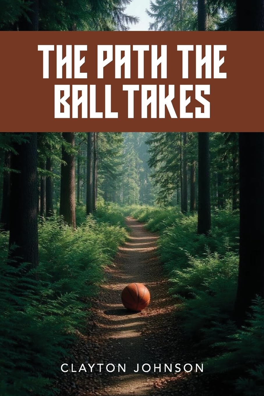 Product Image: The Path the Ball Takes