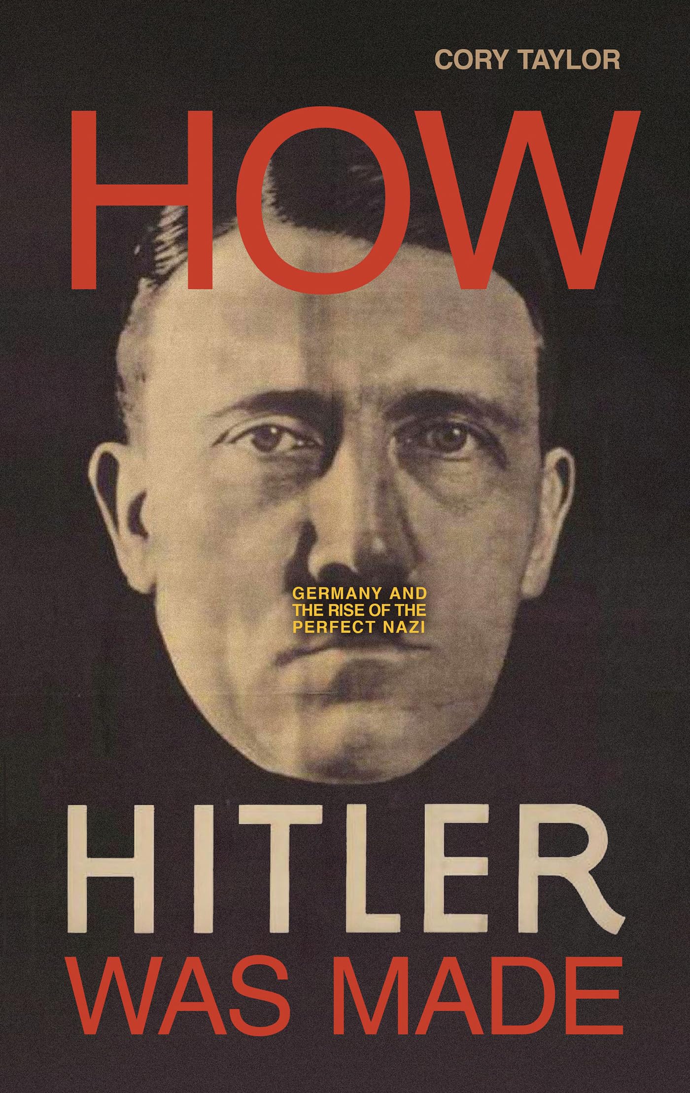 How Hitler Was Made: Germany and the Rise of the Perfect Nazi Politics & Society
