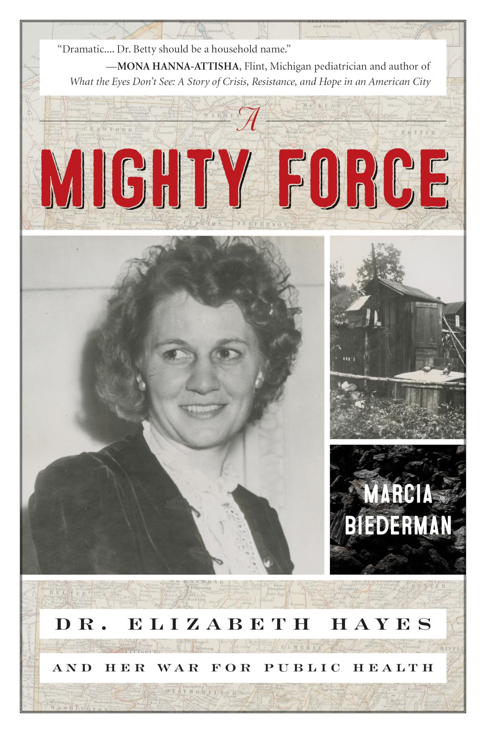 A Mighty Force: Dr. Elizabeth Hayes and Her War for Public Health Medicine