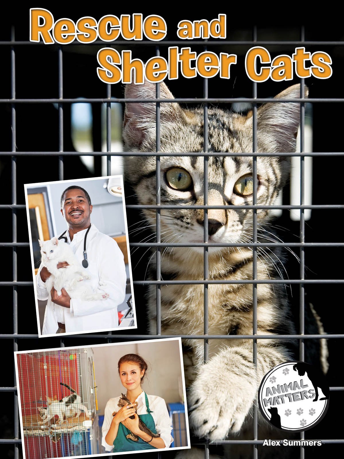 Rescue and Shelter Cats (Animal Matters) Non-fiction