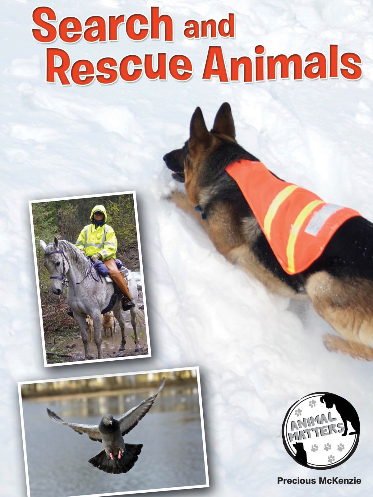 Search and Rescue Animals (Animal Matters) Non-fiction