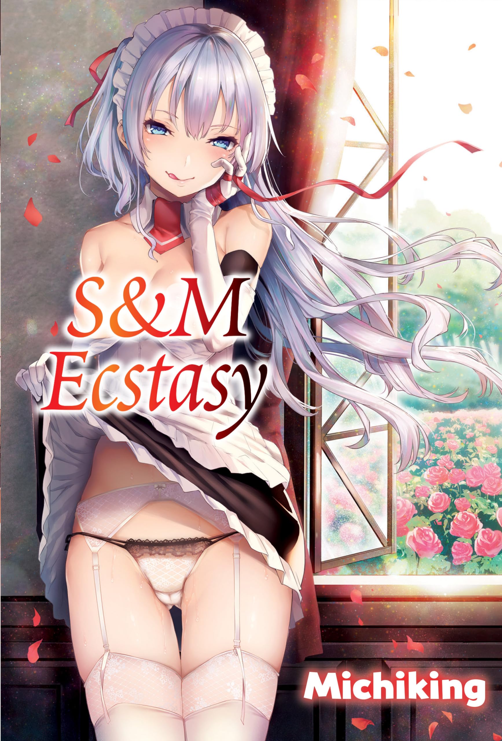 S&m Ecstasy Contemporary literature Books