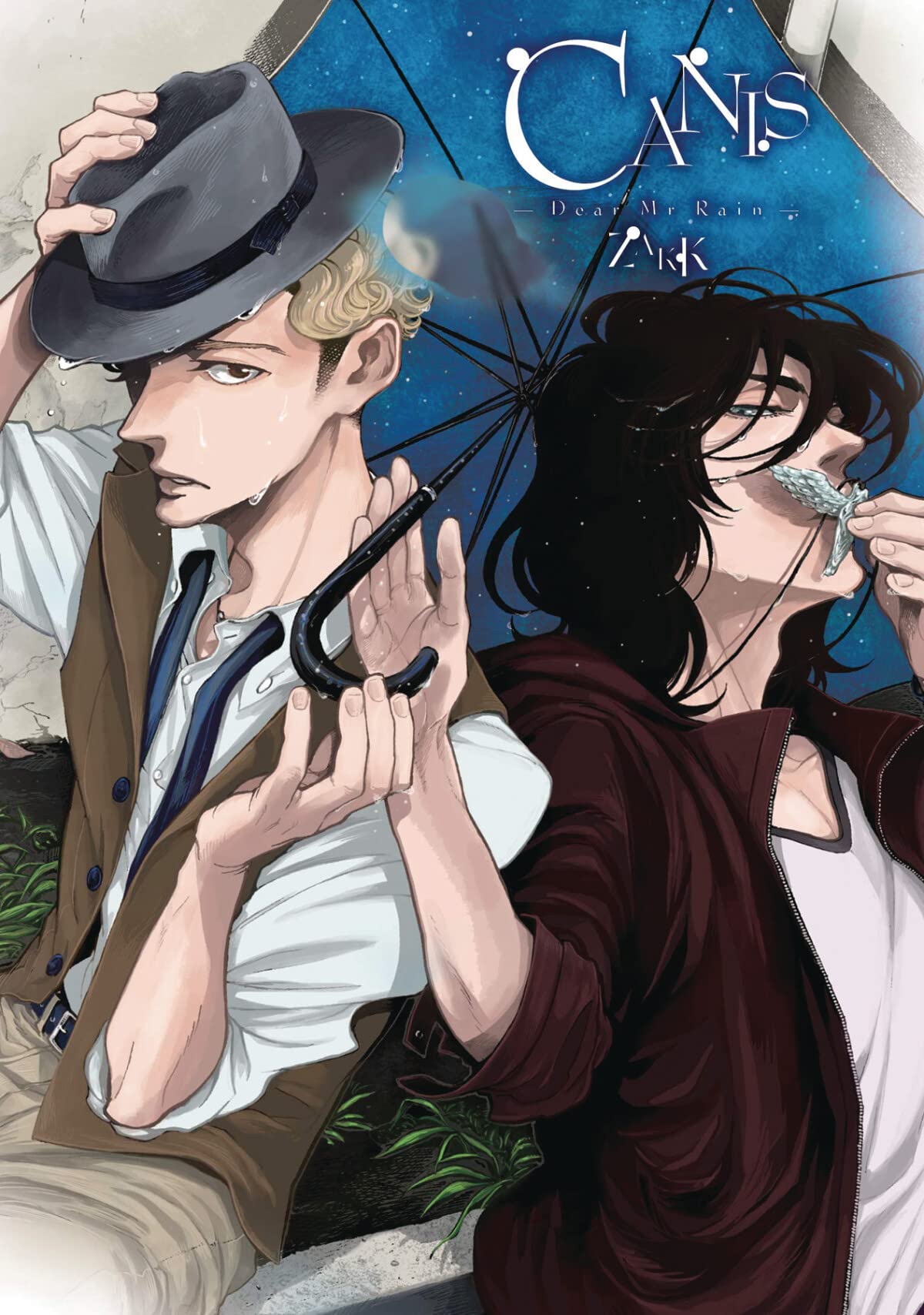 Product Image: Canis: Dear Mr. Rain