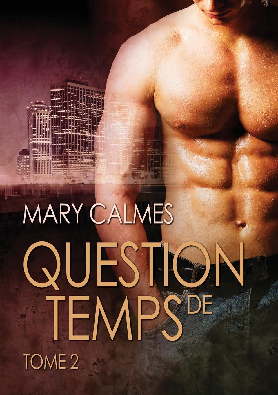 Question de temps, tome 2: Volume 2 (Tout Vient À Point..., Band 2) LGBTQ+