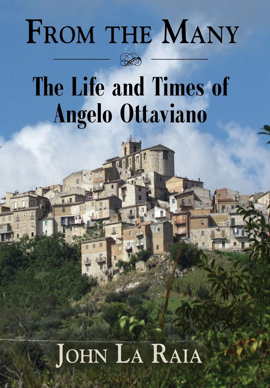 From the Many: The Life and Times of Angelo Ottaviano Books