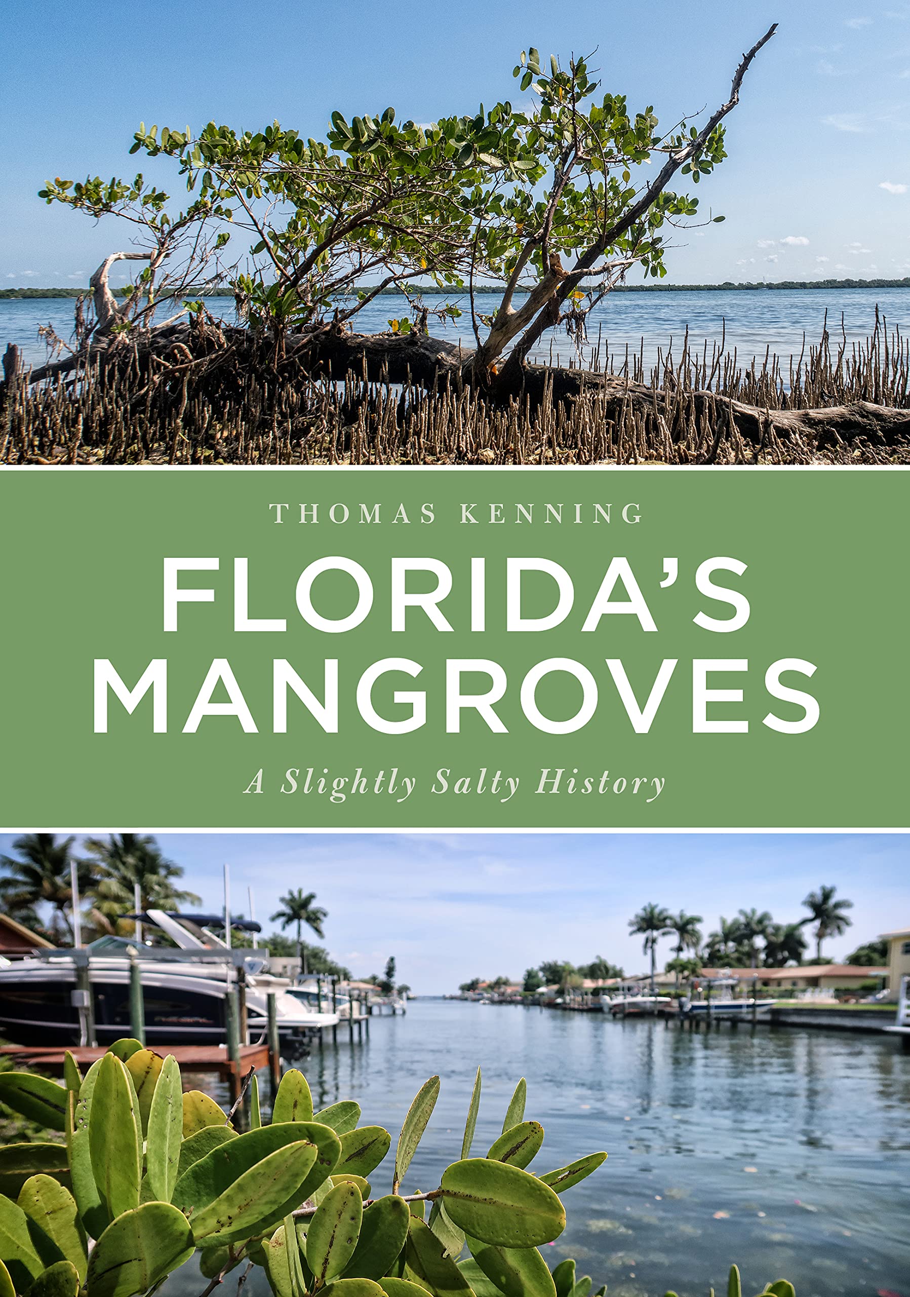 Florida’s Mangroves: A Slightly Salty History (America Through Time) Mathematics
