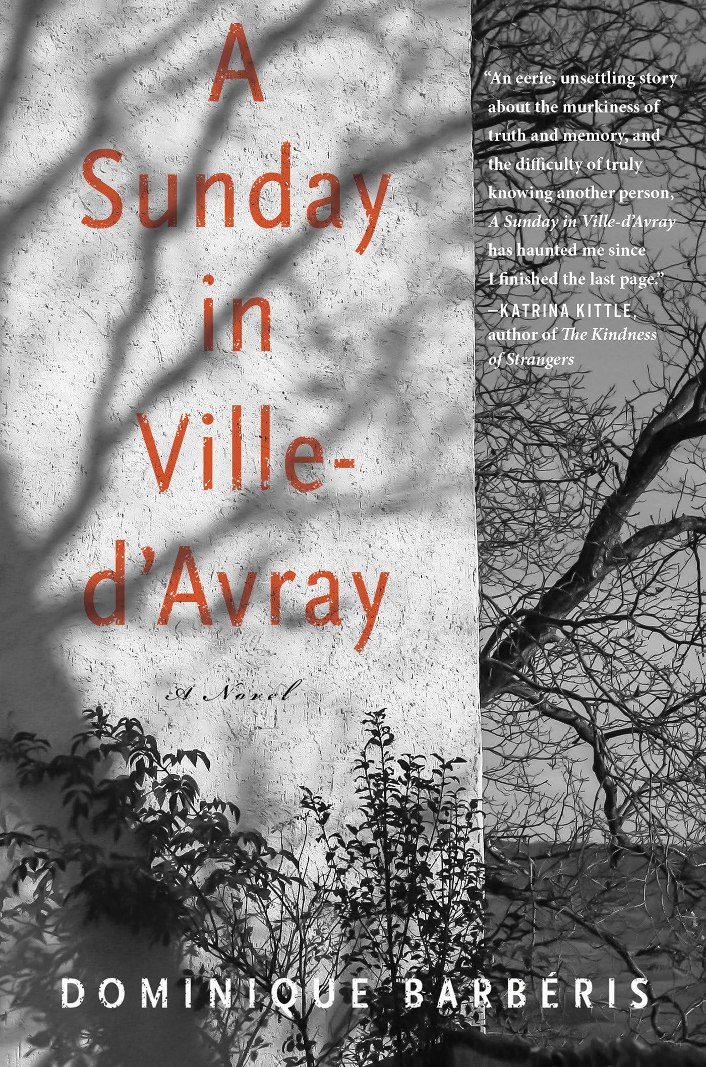 A Sunday in Ville-d'Avray: A Novel Contemporary literature