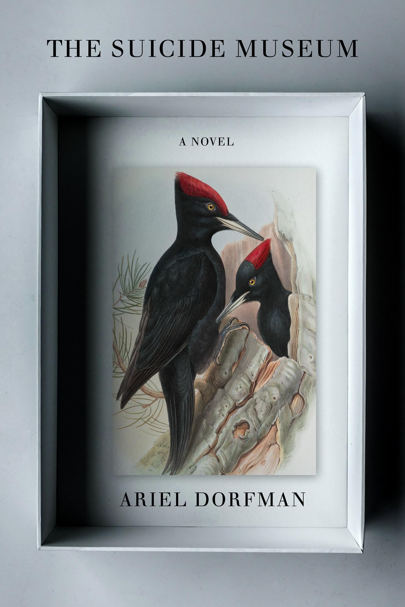 The Suicide Museum: A Novel Contemporary literature
