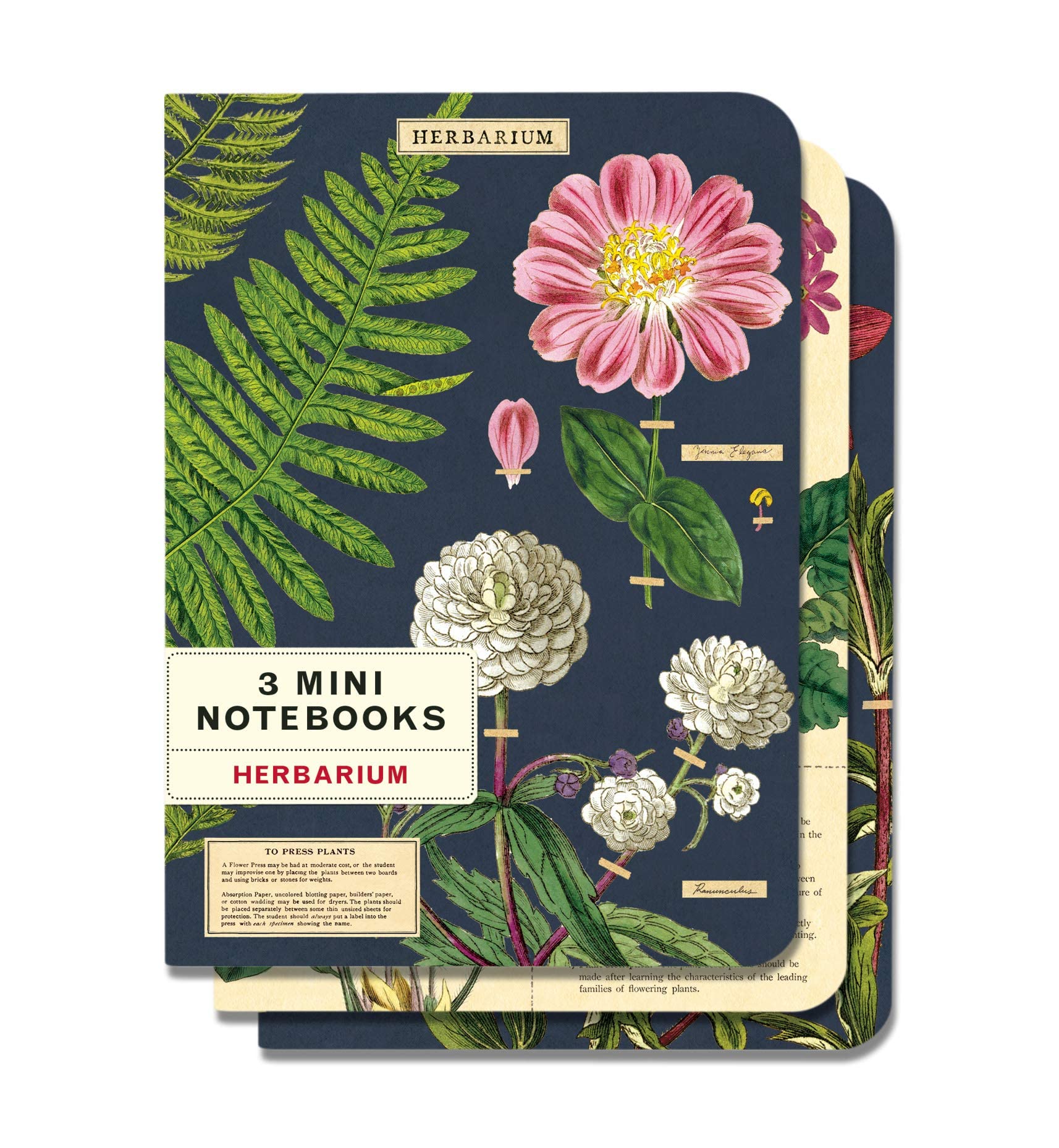 Cavallini Mini-Notizbücher, Herbarium, liniert, blanko und kariert, 3 Stück Books