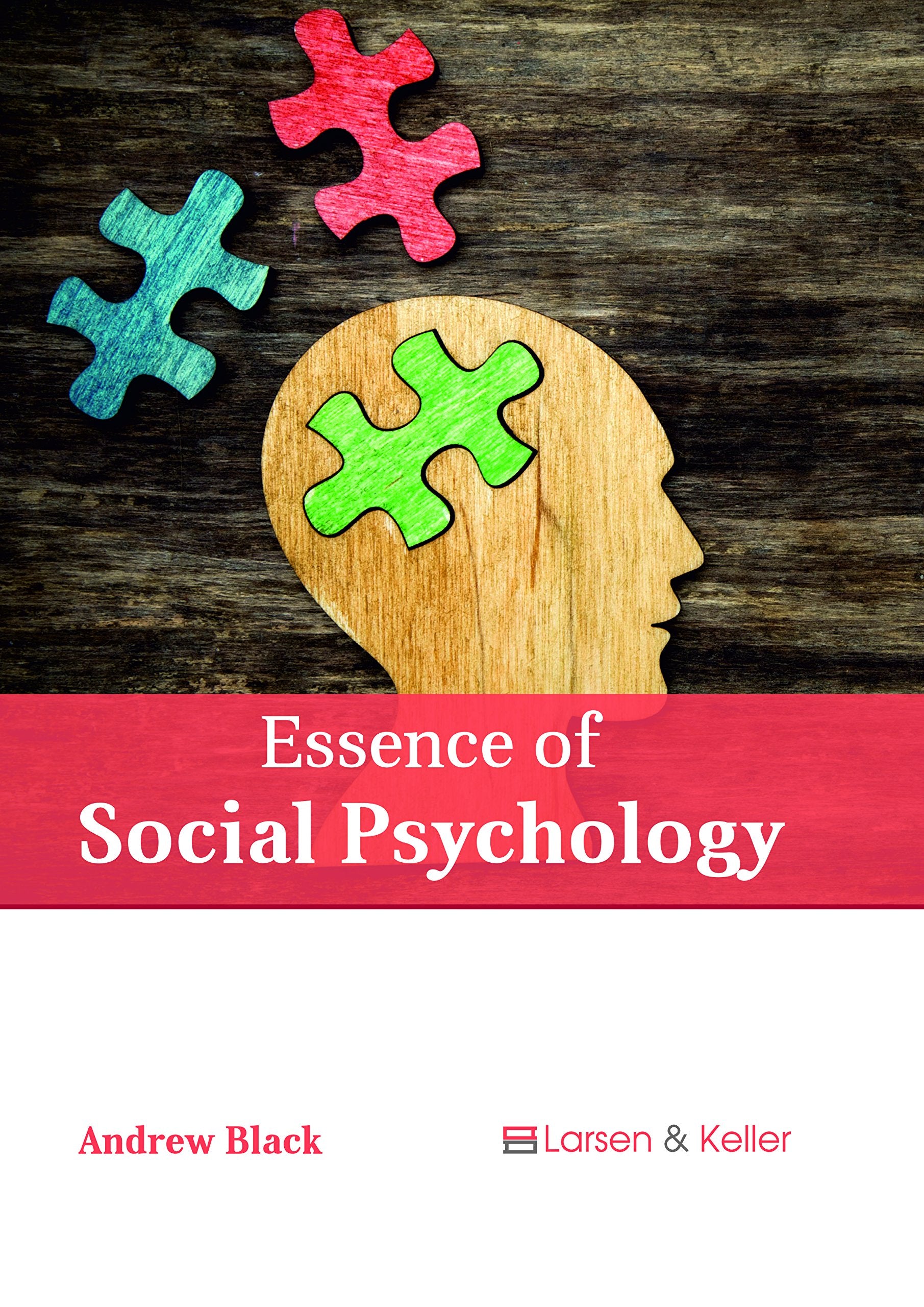 Essence of Social Psychology Psychology