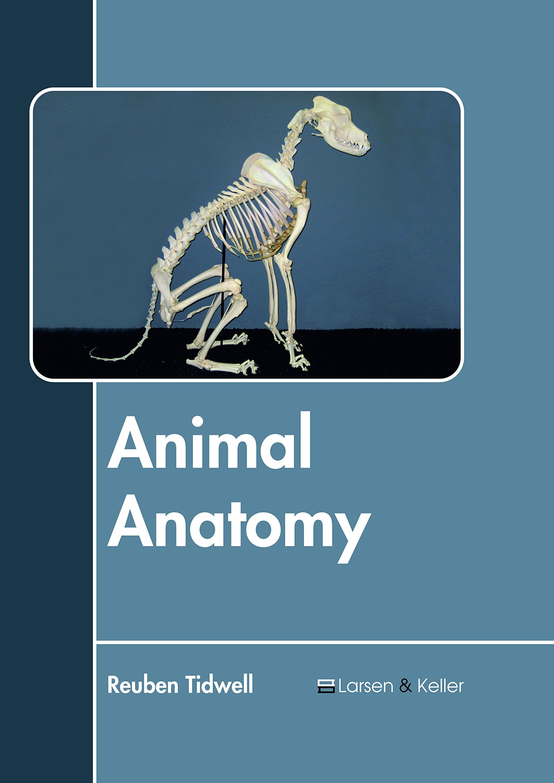 Animal Anatomy Medicine