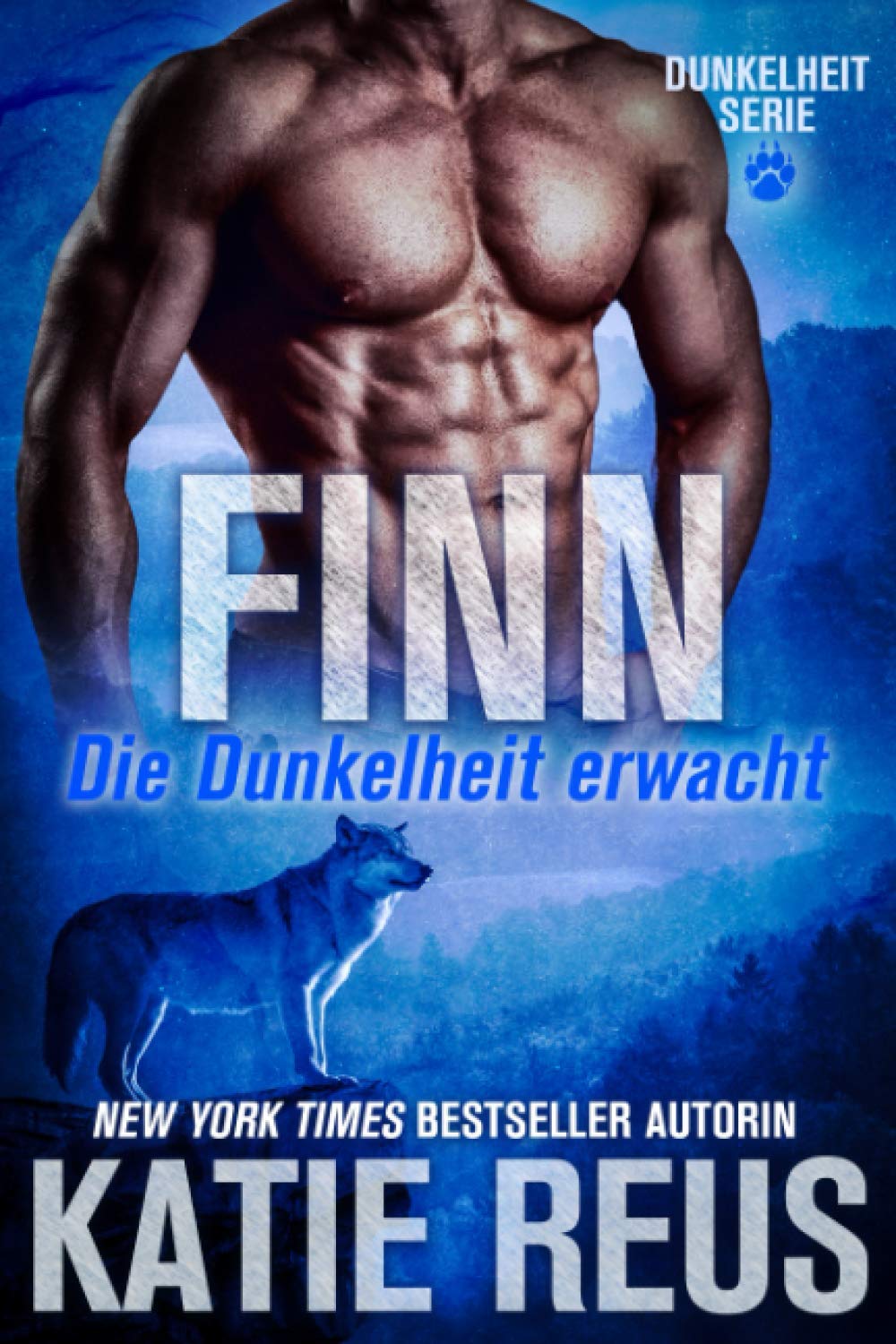 Finn: Die Dunkelheit erwacht (Dunkelheit Serie, Band 1) Romantic Fantasy