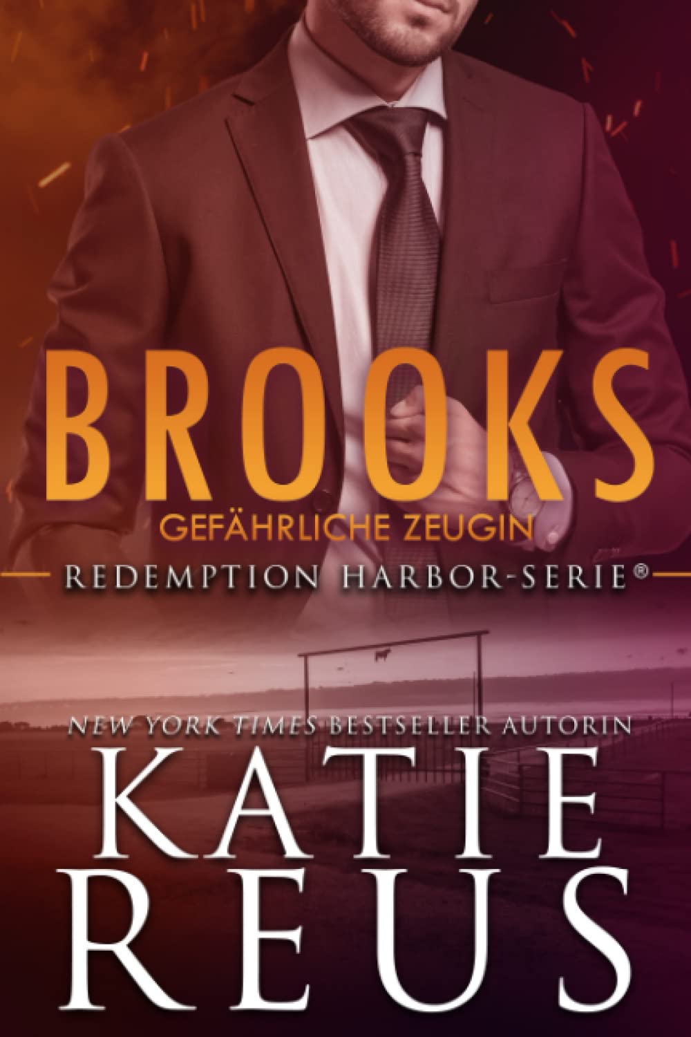 Brooks: Gefährliche Zeugin book