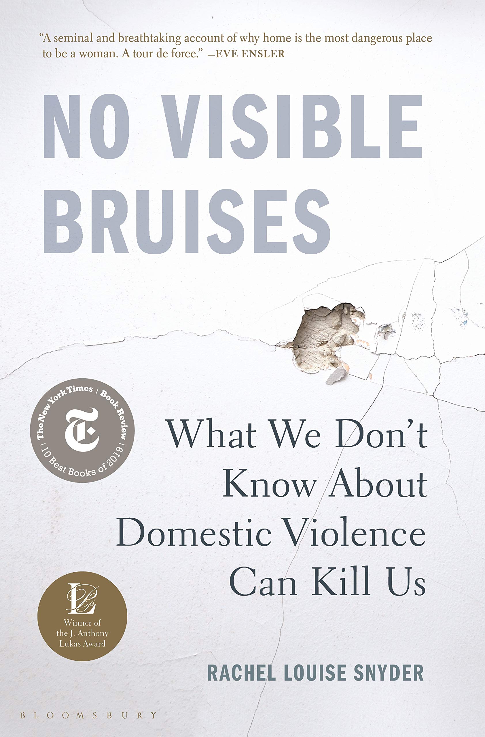 No Visible Bruises: What We Don't Know about Domestic Violence Can Kill Us Law