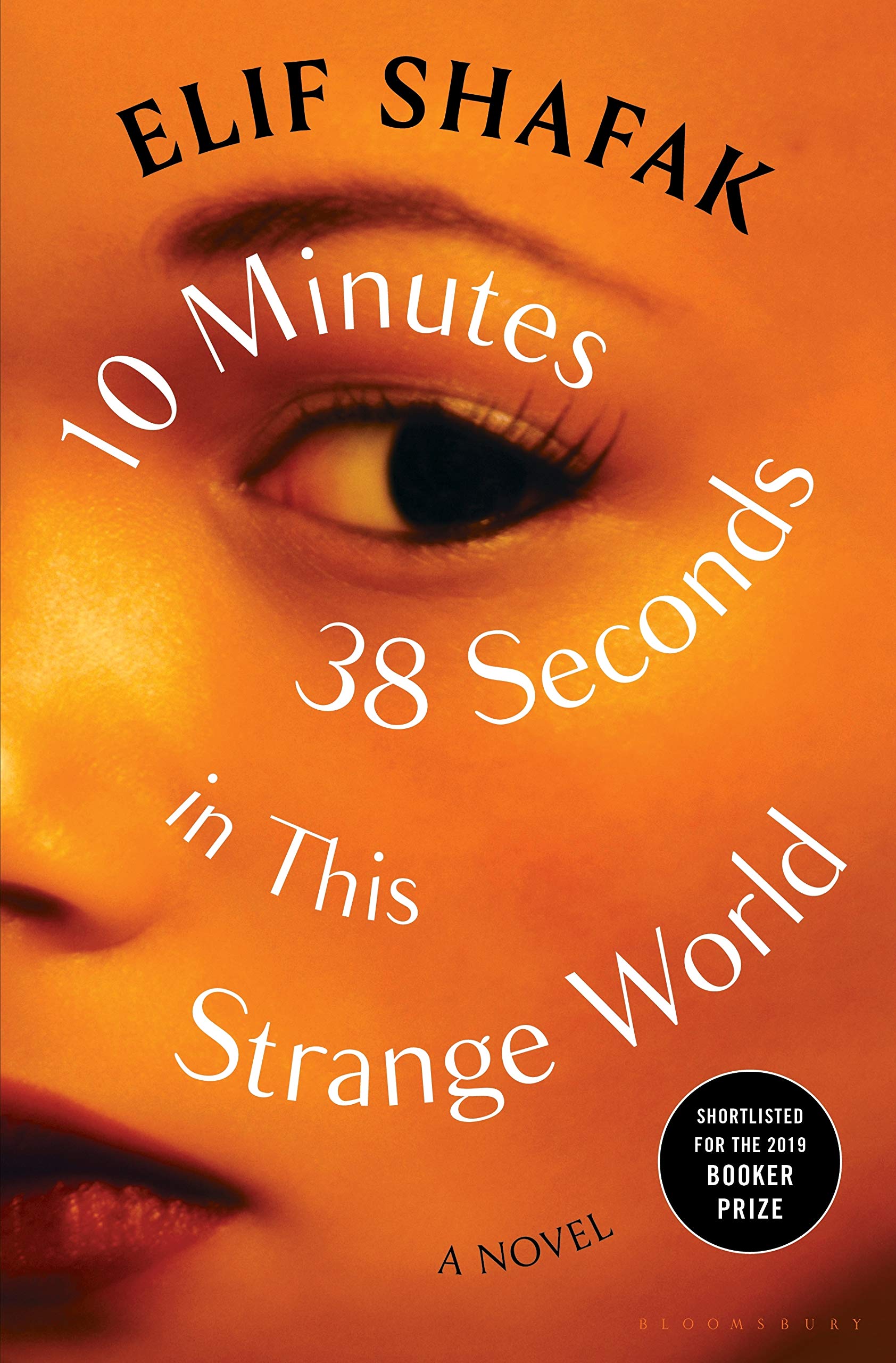 10 Minutes 38 Seconds in This Strange World Contemporary literature