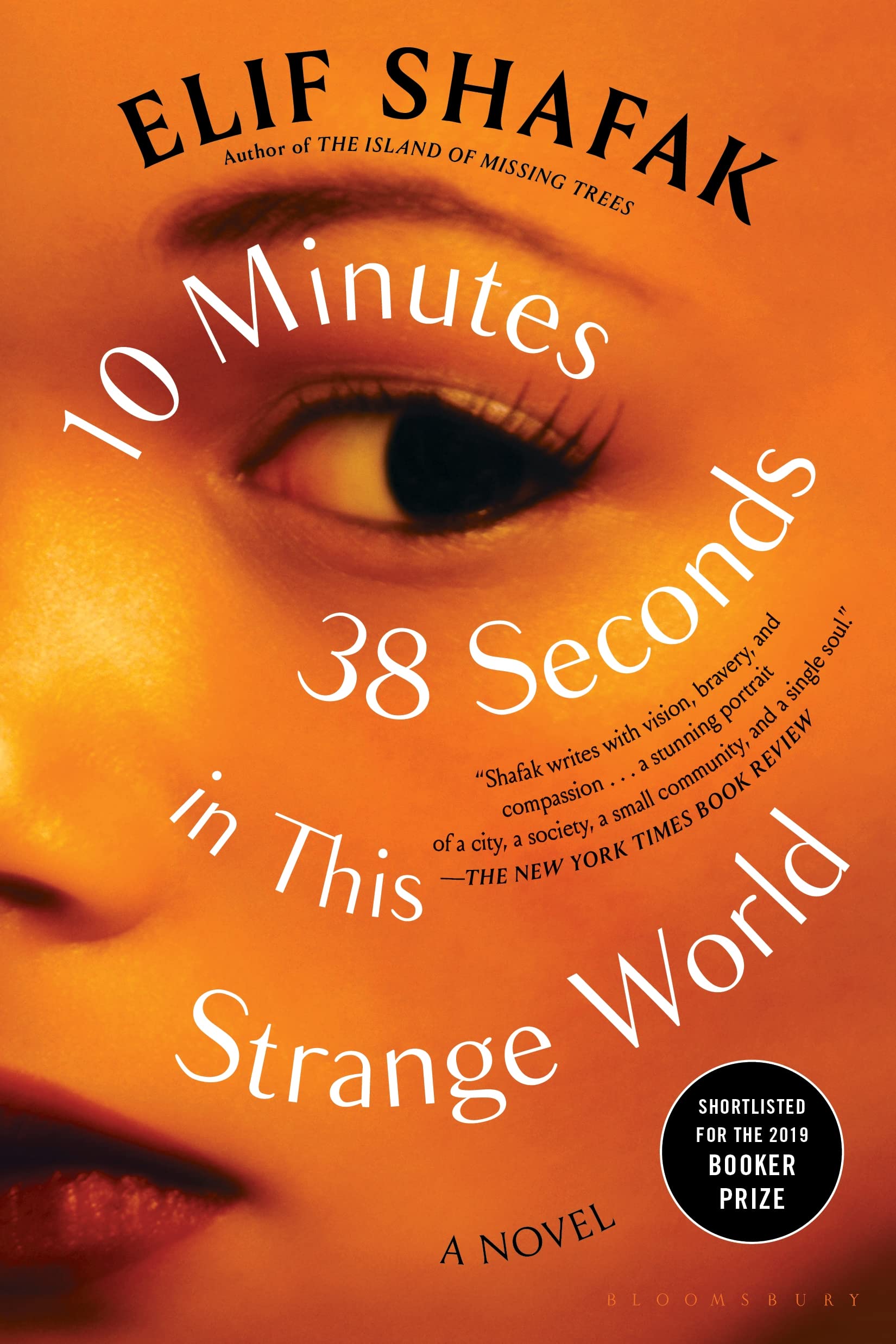 10 Minutes 38 Seconds in This Strange World Contemporary literature