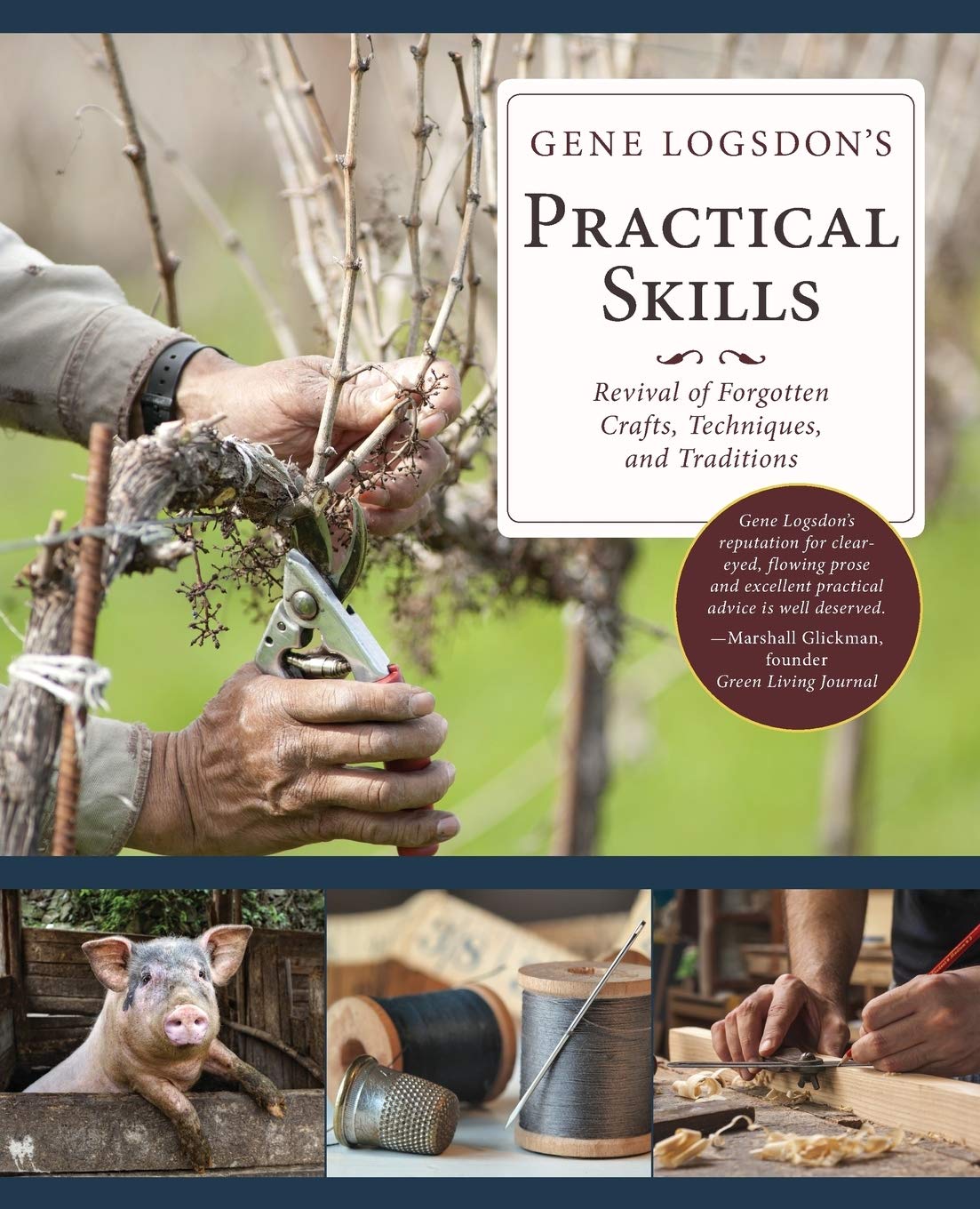 Gene Logsdon's Practical Skills: A Revival of Forgotten Crafts, Techniques, and Traditions Hobbies & Crafts