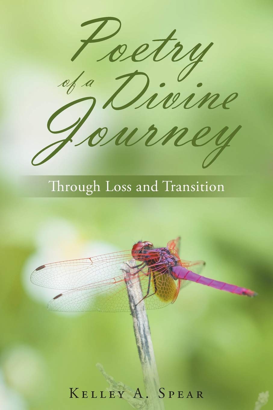 Poetry of a Divine Journey Poetry