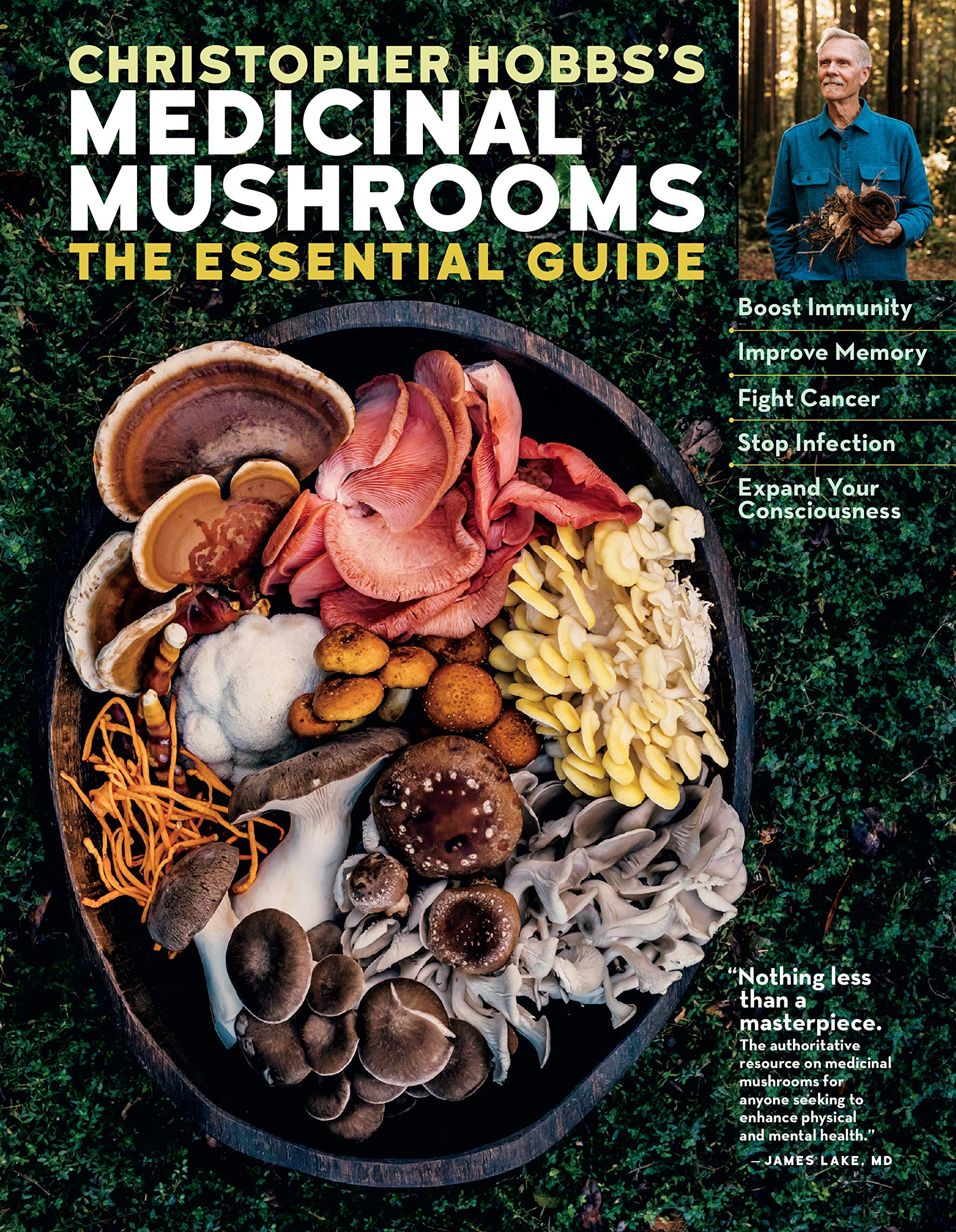 Christopher Hobbs's Medicinal Mushrooms: The Essential Guide Medicine