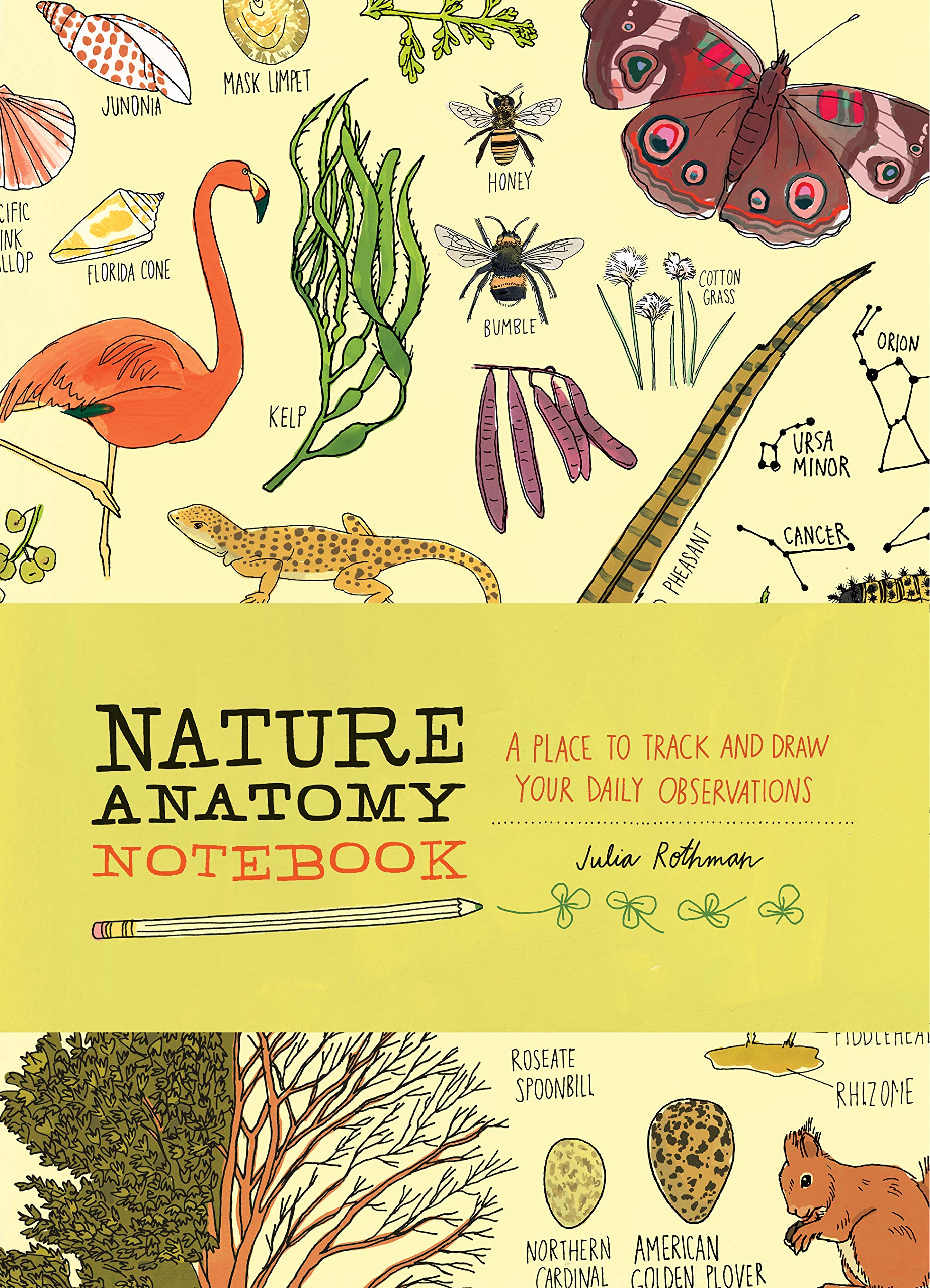 Nature Anatomy Notebook: A Place to Track and Draw Your Daily Observations book