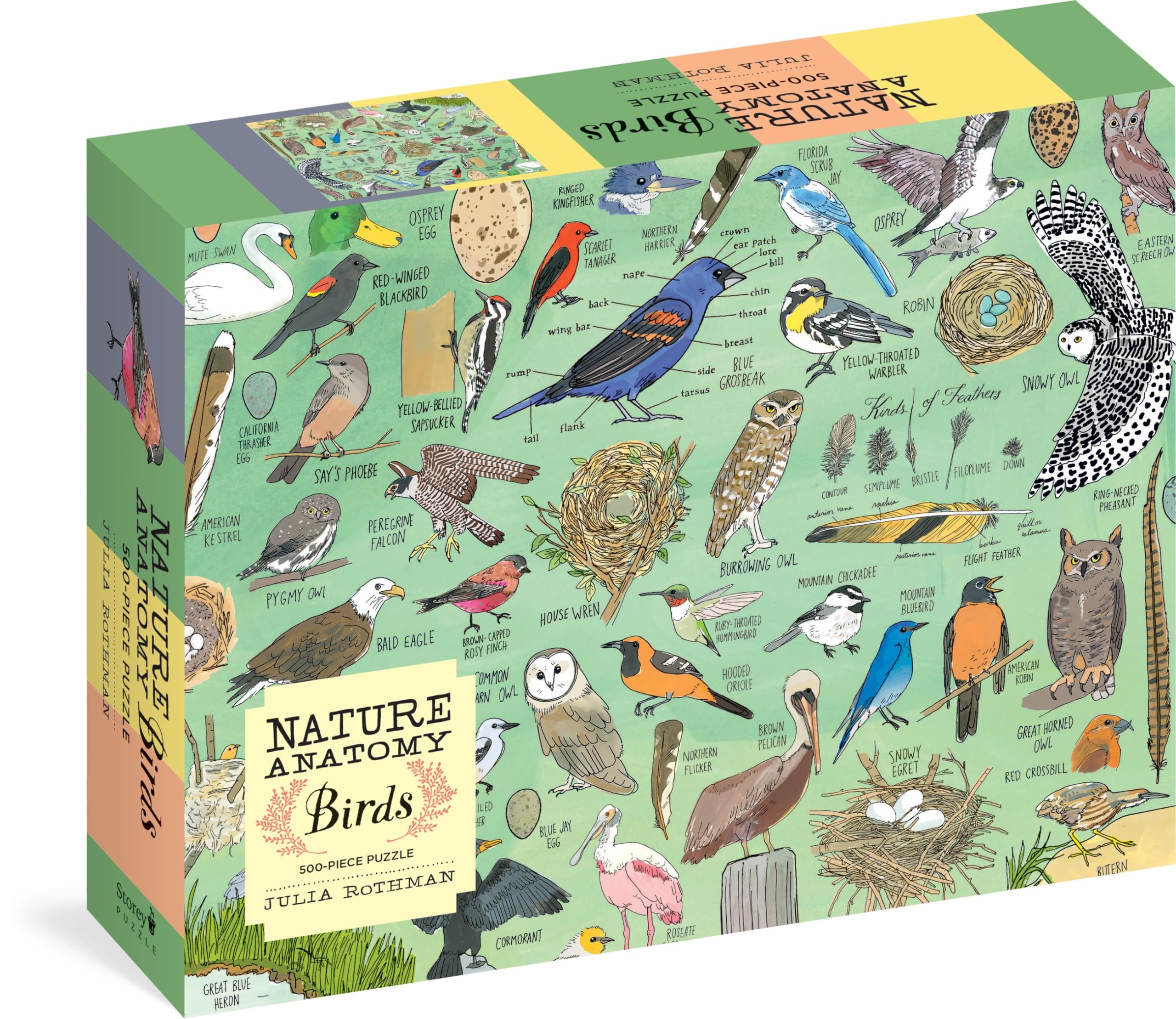 Nature Anatomy - Birds: A 500-piece Jigsaw Puzzle book