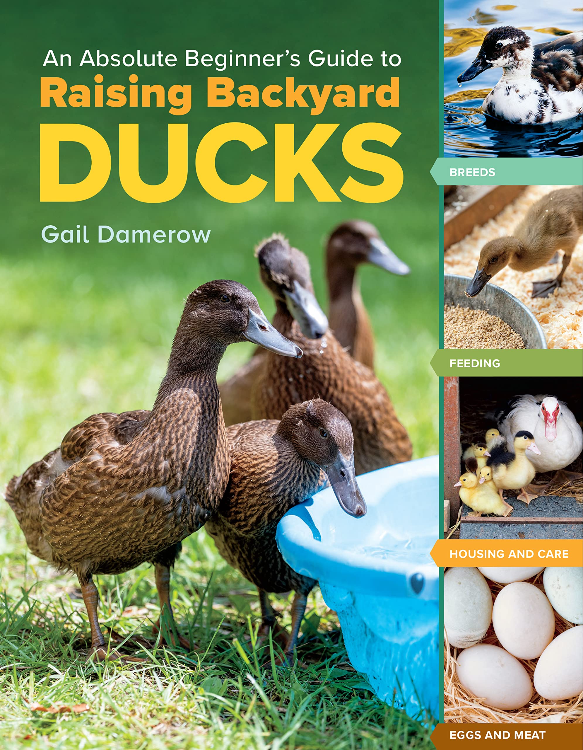 Product Image: An Absolute Beginner's Guide to Raising Backyard Ducks