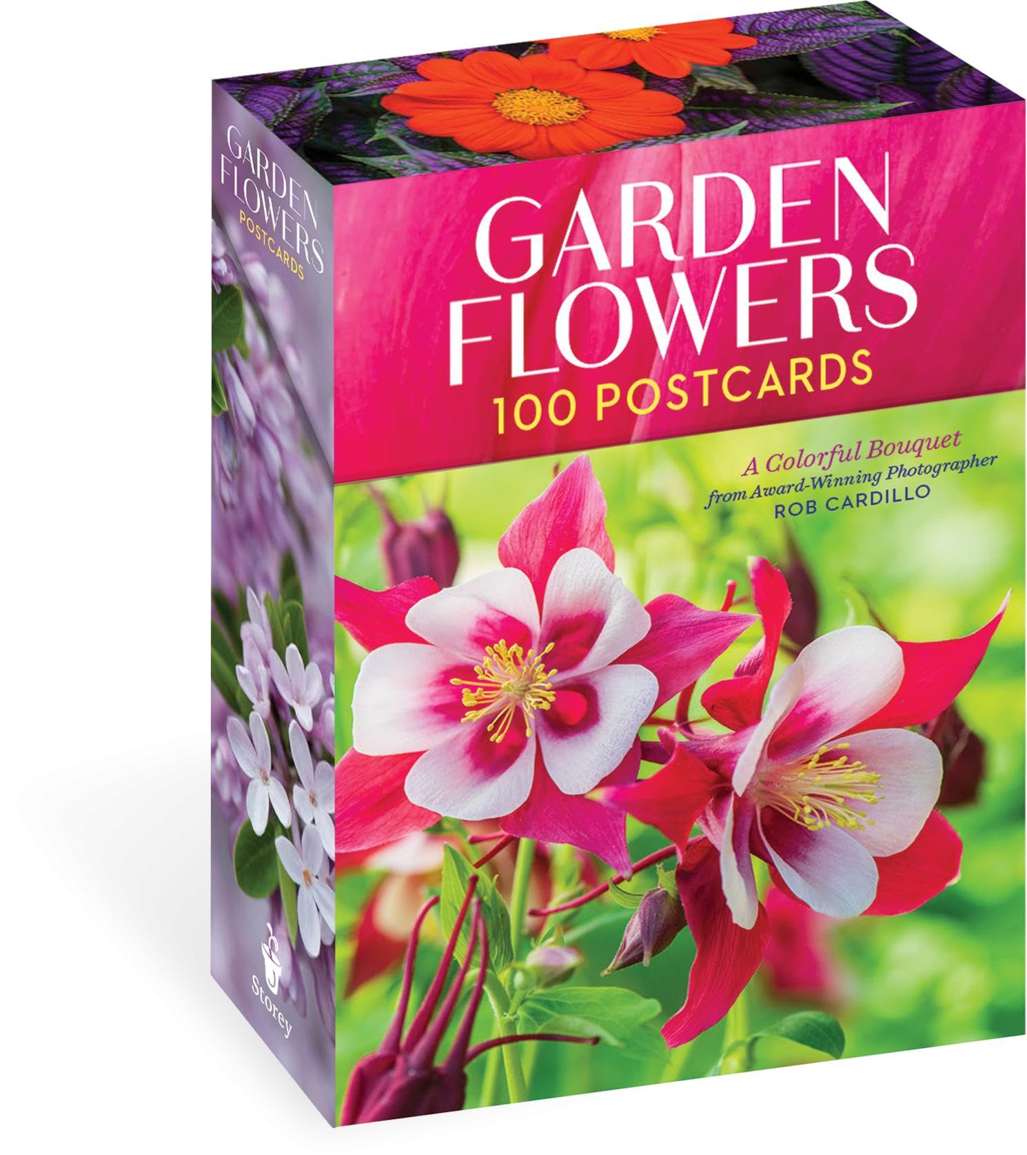 Garden Flowers, 100 Postcards: A Colorful Bouquet from Award-Winning Photography Rob Cardillo (Storey Publishing) Mathematics