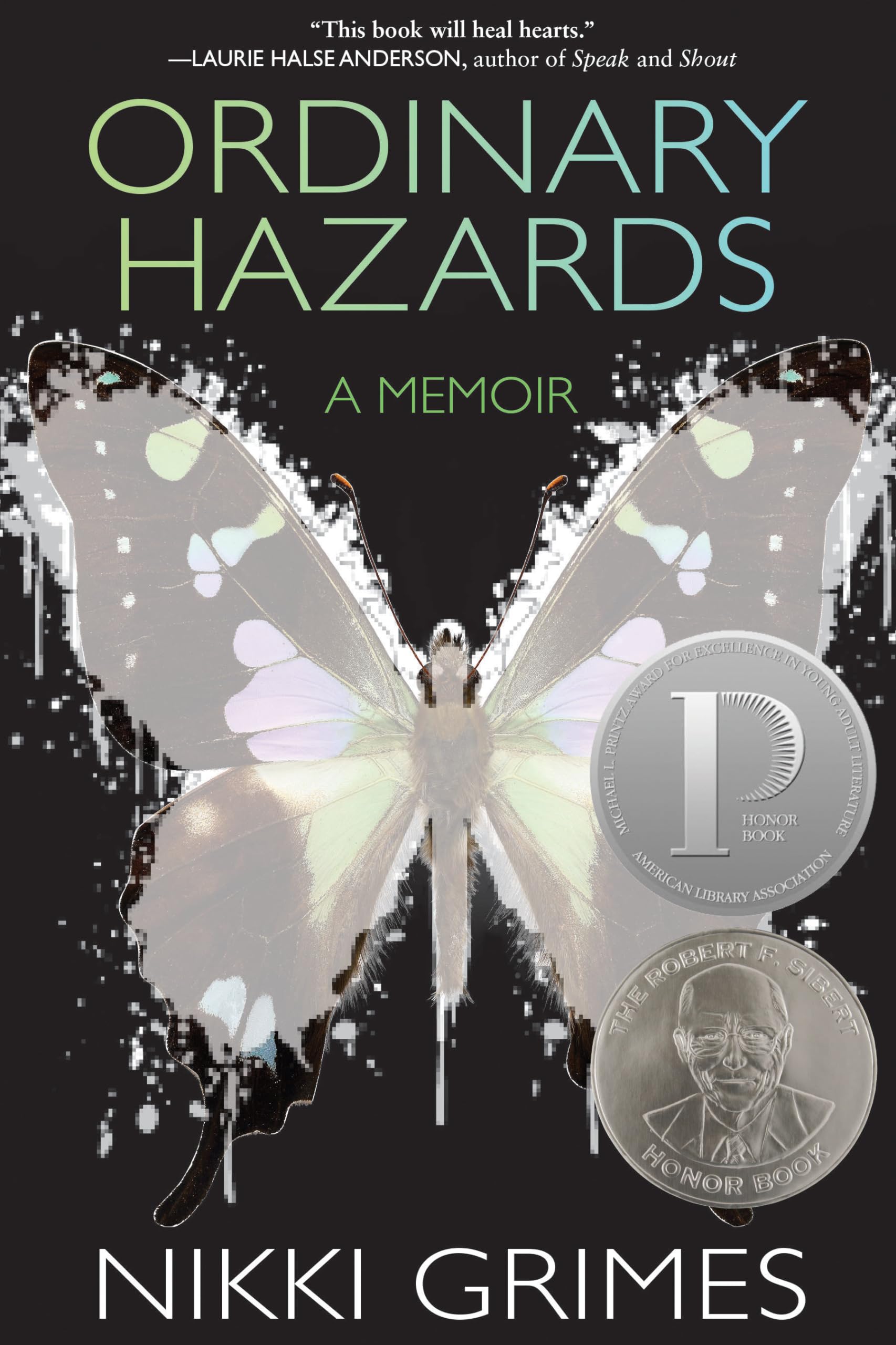 Ordinary Hazards Young adult books