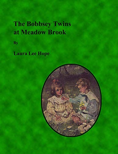 The Bobbsey Twins At Meadow Brook (Large Print) Contemporary literature