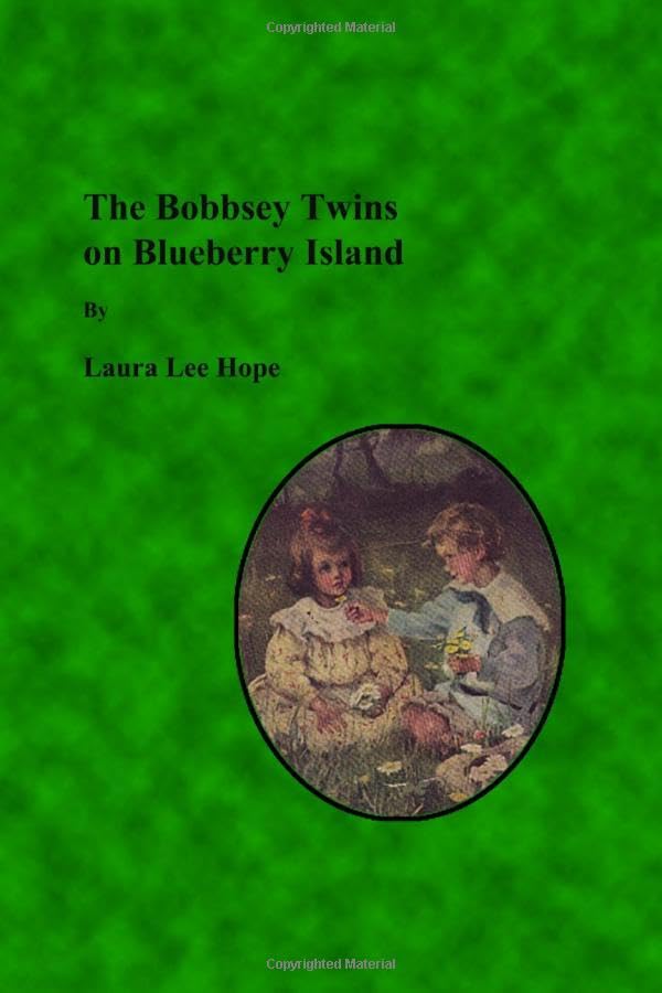 The Bobbsey Twins on Blueberry Island Contemporary literature