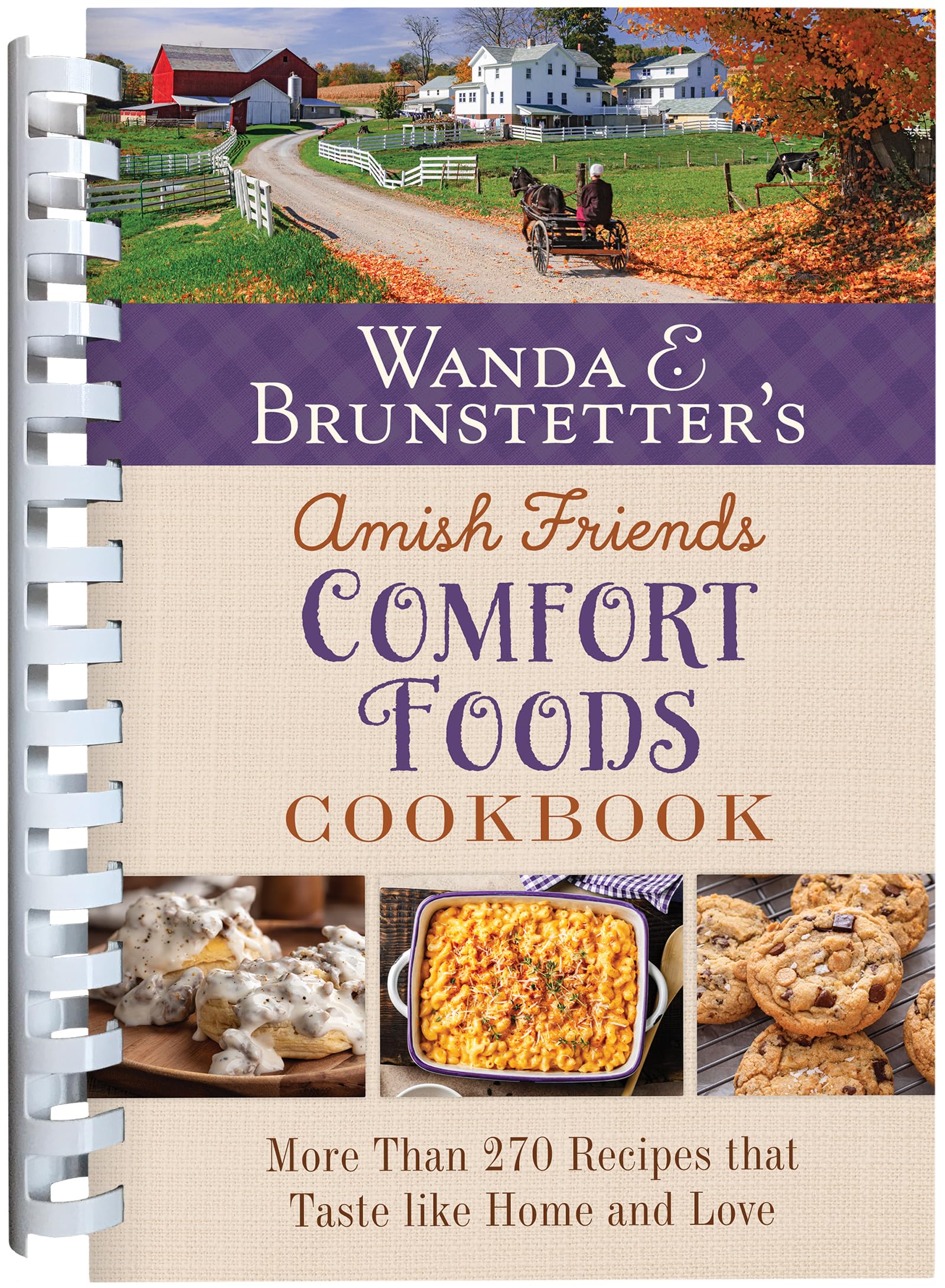 Wanda E Brunstetter's Amish Friends Comfort Foods Cookbook: More Than 270 Recipes That Taste Like Home and Love Leisure, Home & Garden