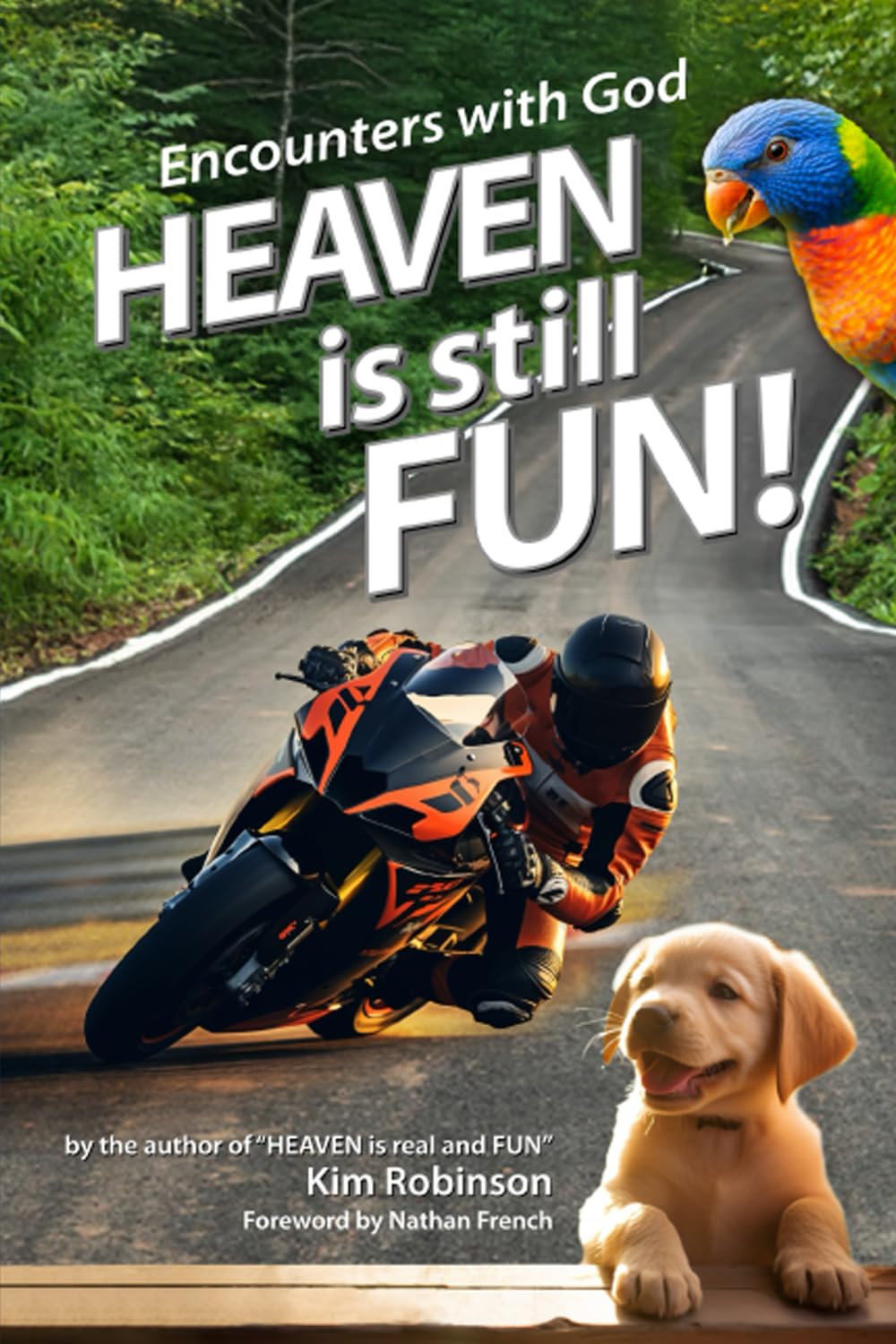 Product Image: Heaven is still FUN!