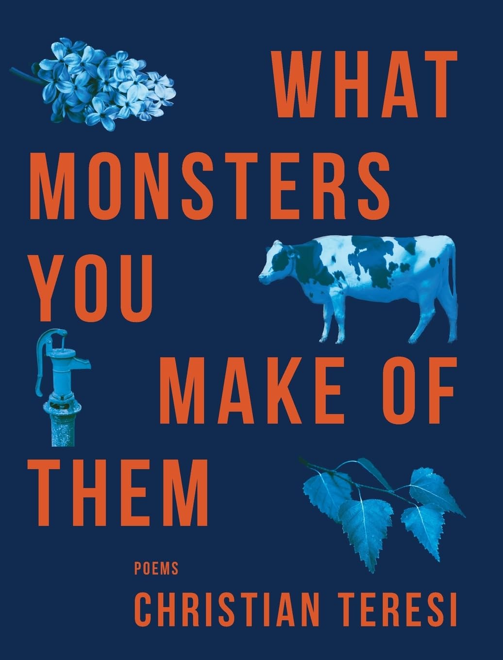 What Monsters You Make of Them Poetry