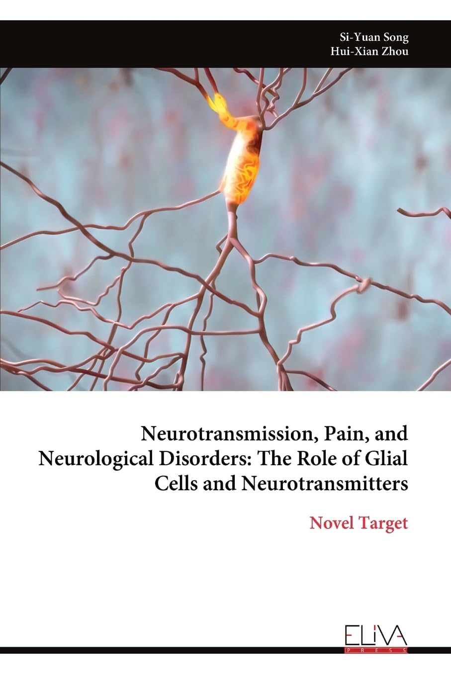 Neurotransmission, Pain, and Neurological Disorders Medicine