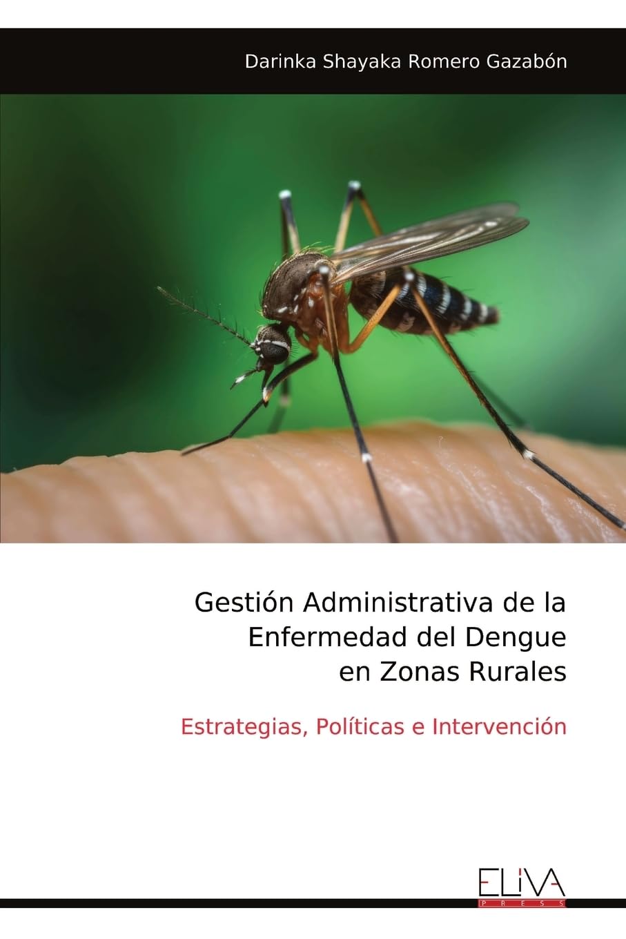 Gestión Administrativa de la Enfermedad del Dengue en Zonas Rurales Business & Technology