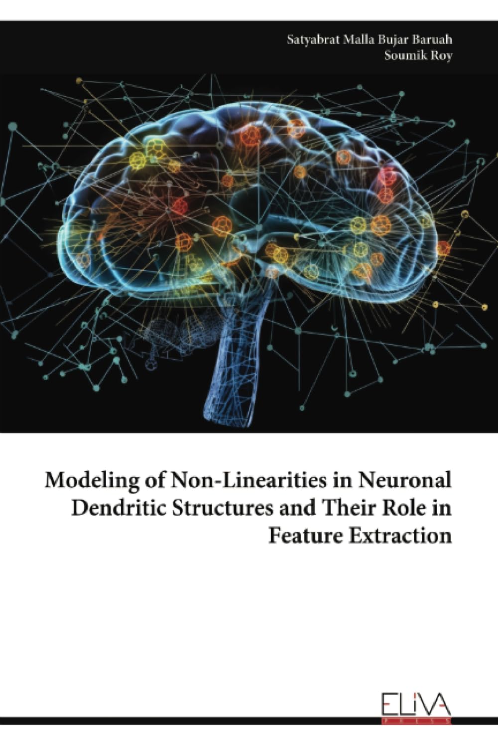 Modeling of Non-Linearities in Neuronal Dendritic Structures and Their Role in Feature Extraction Business & Technology
