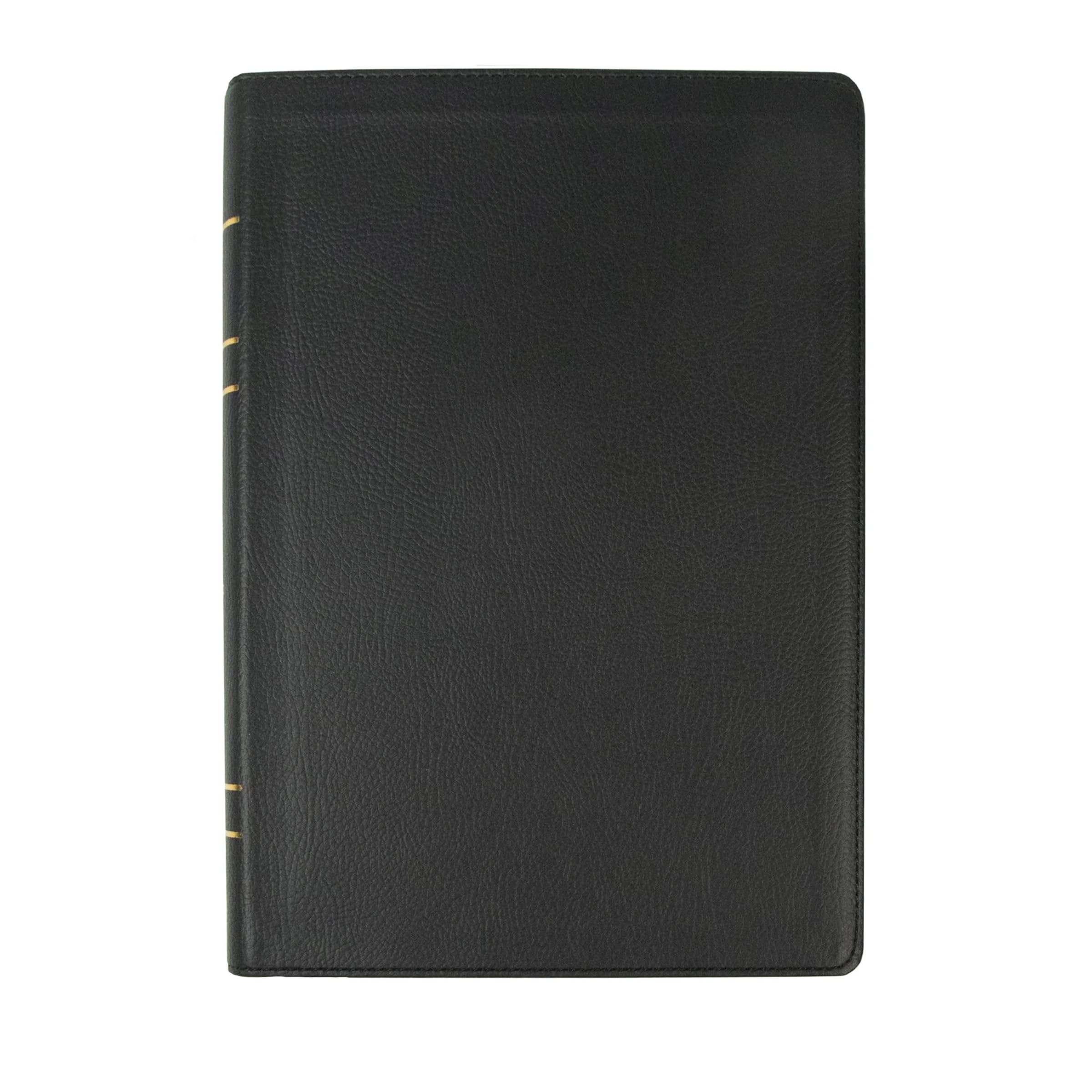 Holy Bible: Legacy Standard Bible, Wide Margin, Paste-down Black Faux Leather Religion & Esotericism