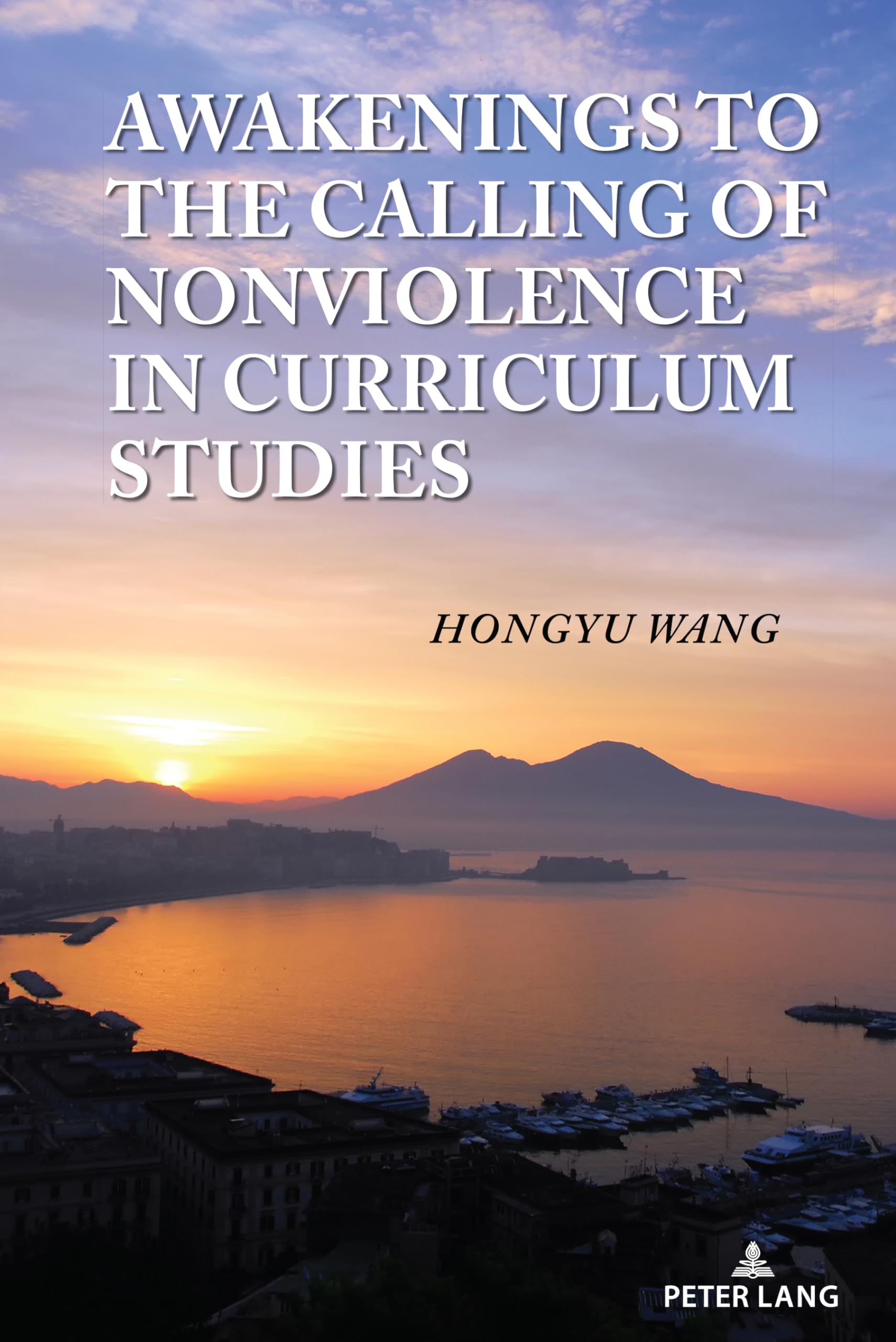 Awakenings to the Calling of Nonviolence in Curriculum Studies Social Sciences